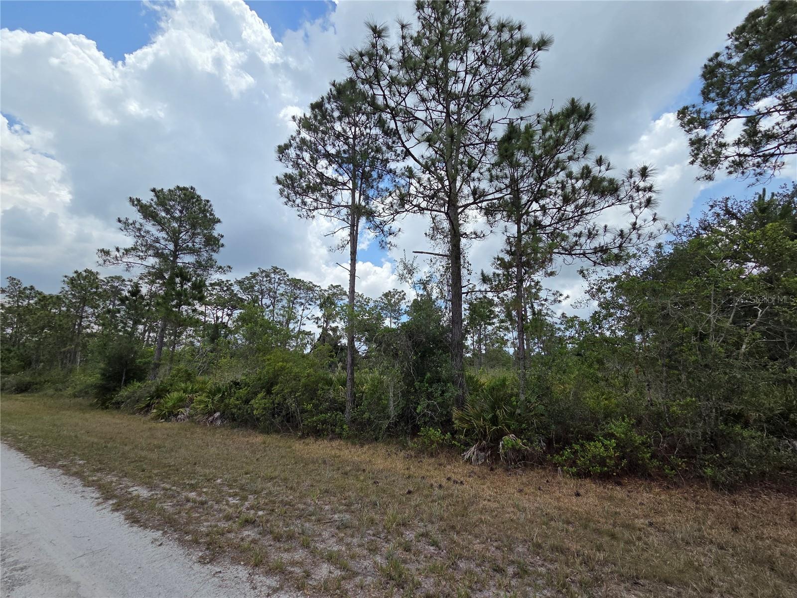 915 LAGUNA DR, INDIAN LAKE ESTATES, FL — photo 4