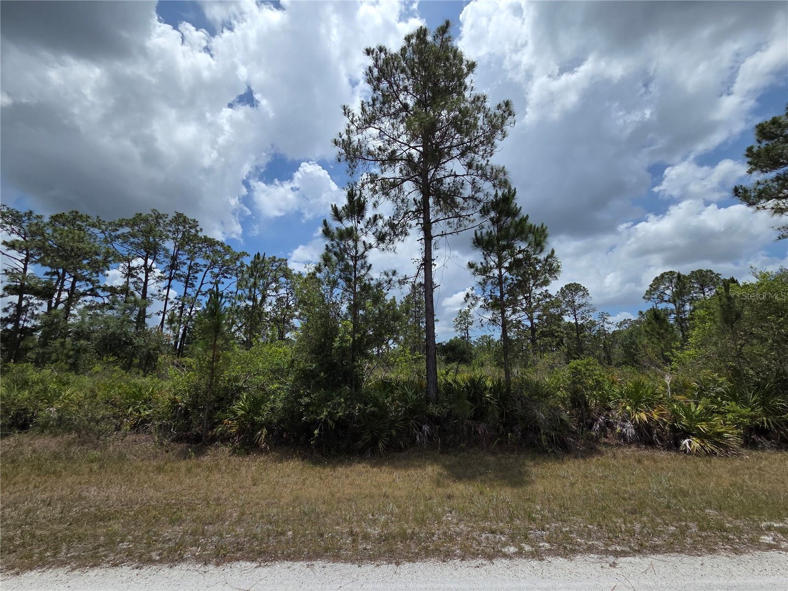 915 LAGUNA DR, INDIAN LAKE ESTATES, FL — photo 5