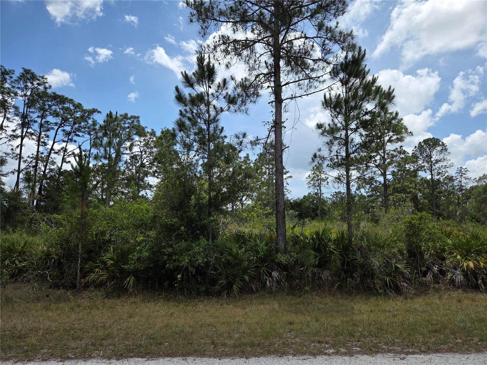 915 LAGUNA DR, INDIAN LAKE ESTATES, FL — photo 6