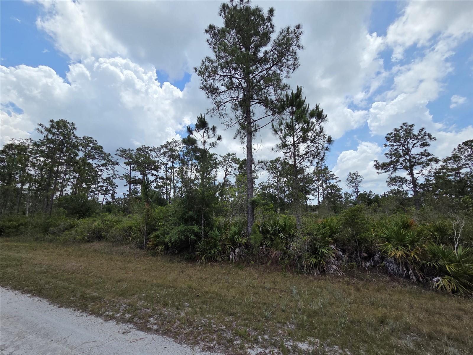 915 LAGUNA DR, INDIAN LAKE ESTATES, FL — photo 8