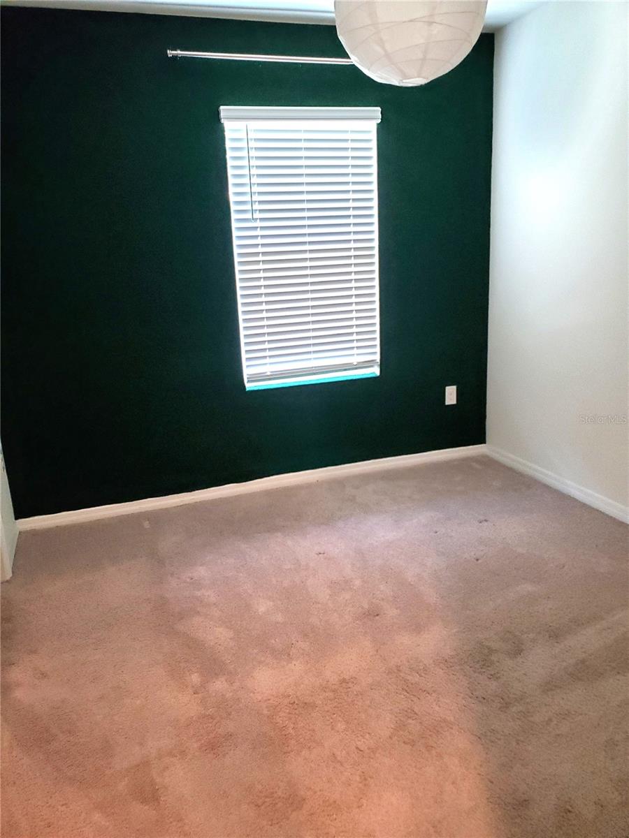 32871 BROOKS HAWK LN, WESLEY CHAPEL, FL — photo 14