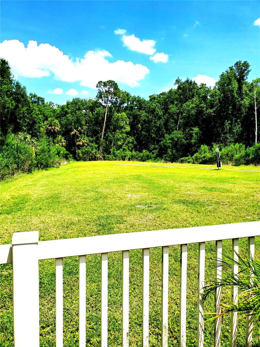 32871 BROOKS HAWK LN, WESLEY CHAPEL, FL — photo 26