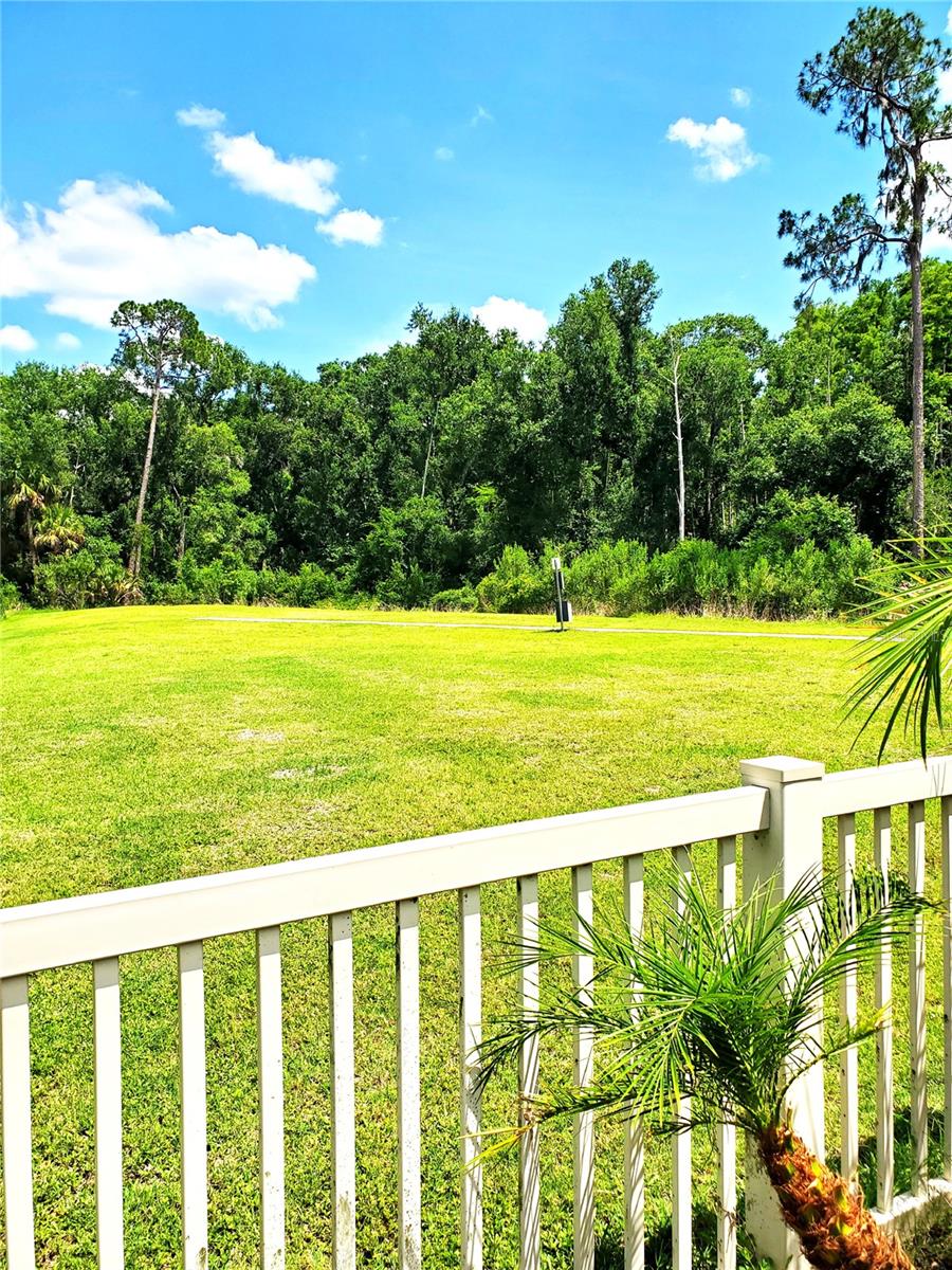 32871 BROOKS HAWK LN, WESLEY CHAPEL, FL — photo 27