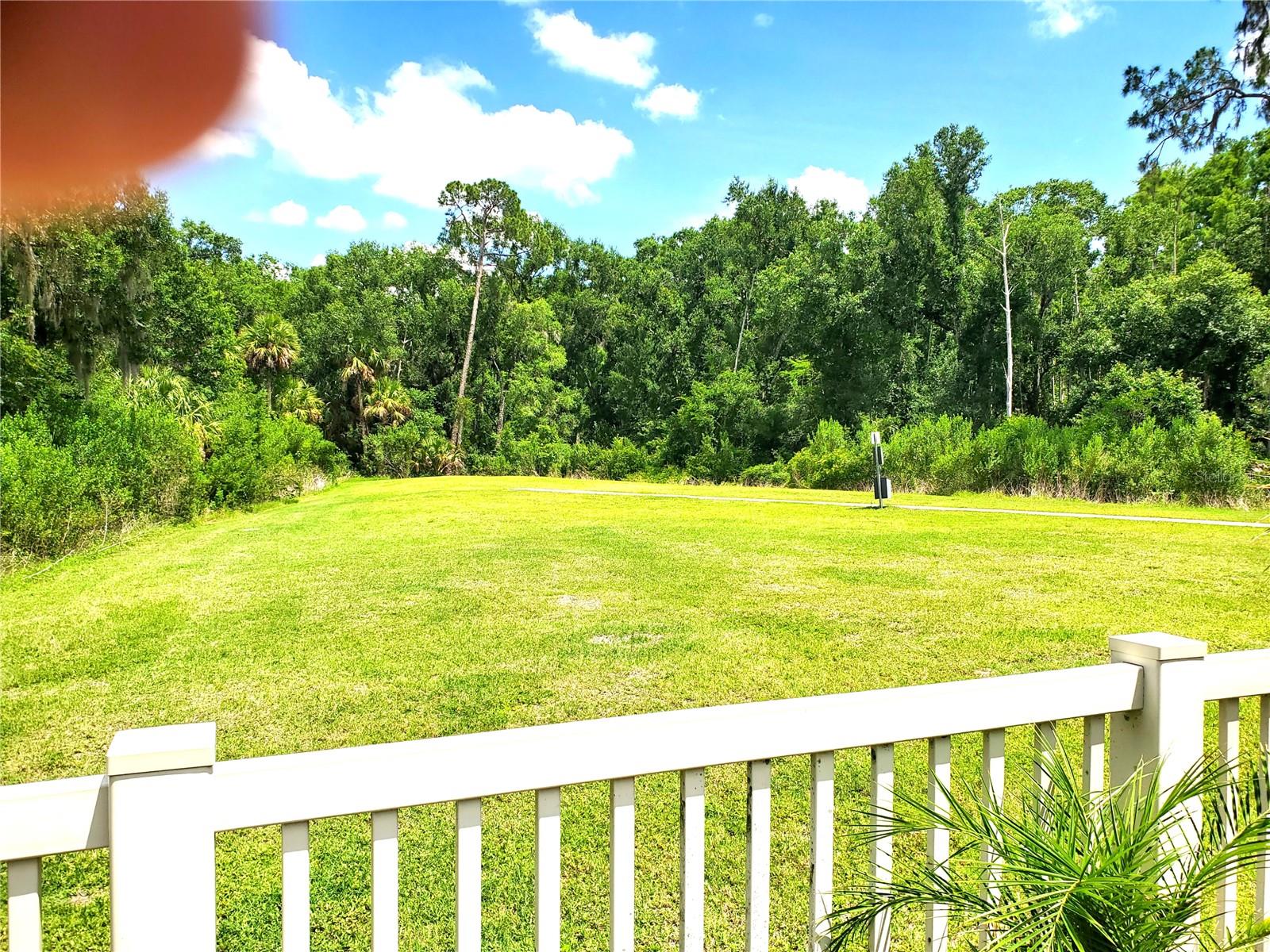 32871 BROOKS HAWK LN, WESLEY CHAPEL, FL — photo 28