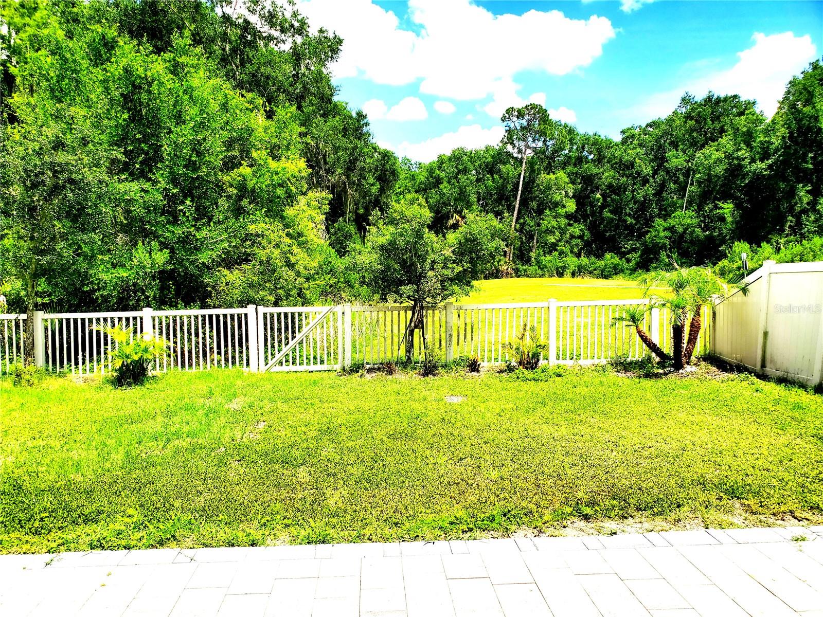 32871 BROOKS HAWK LN, WESLEY CHAPEL, FL — photo 29