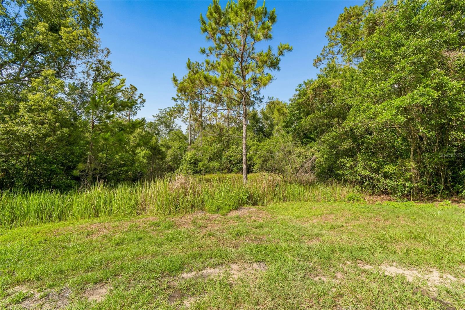 00 HAMRICH, DADE CITY, FL