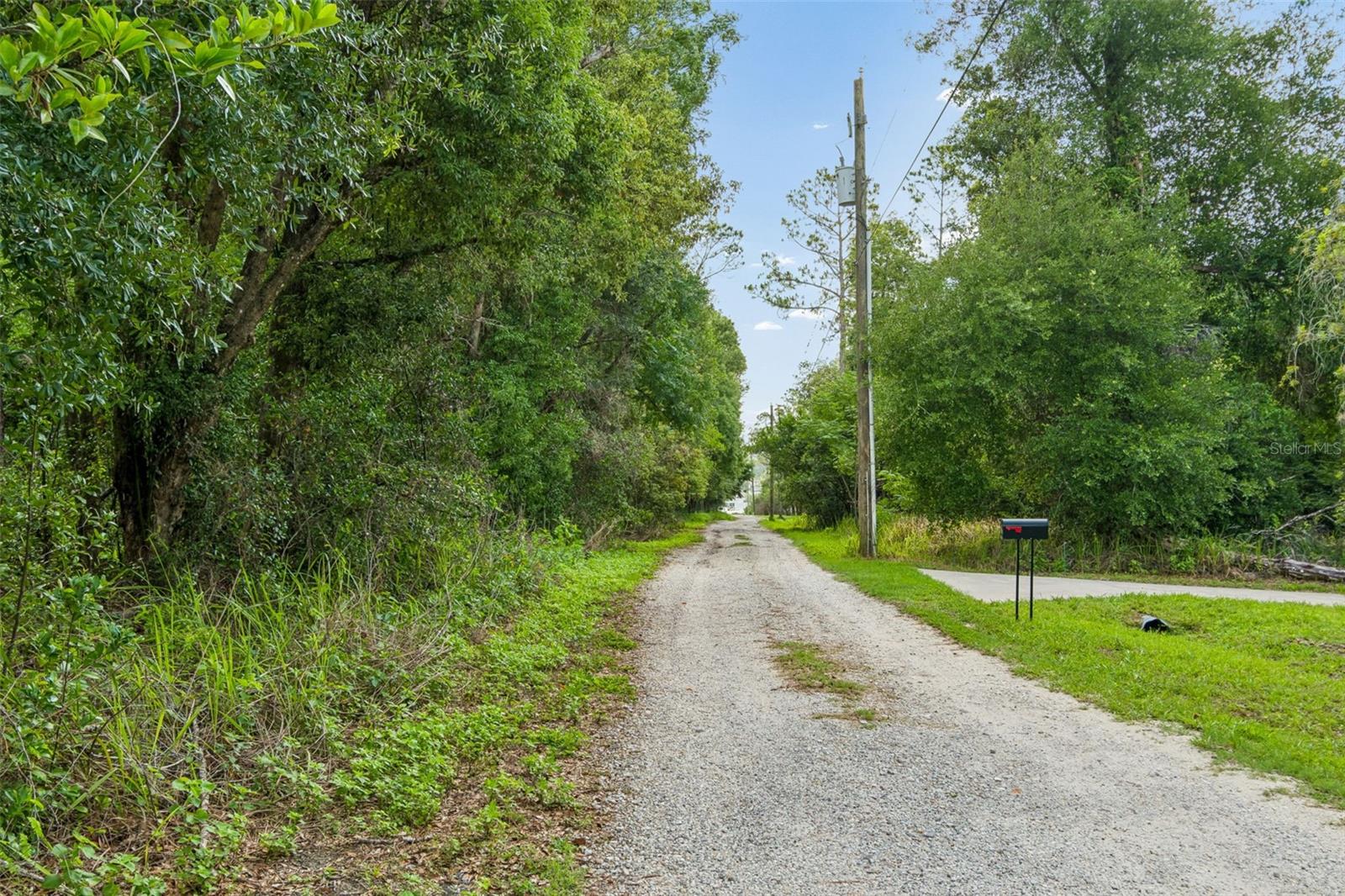 00 HAMRICH, DADE CITY, FL — photo 4