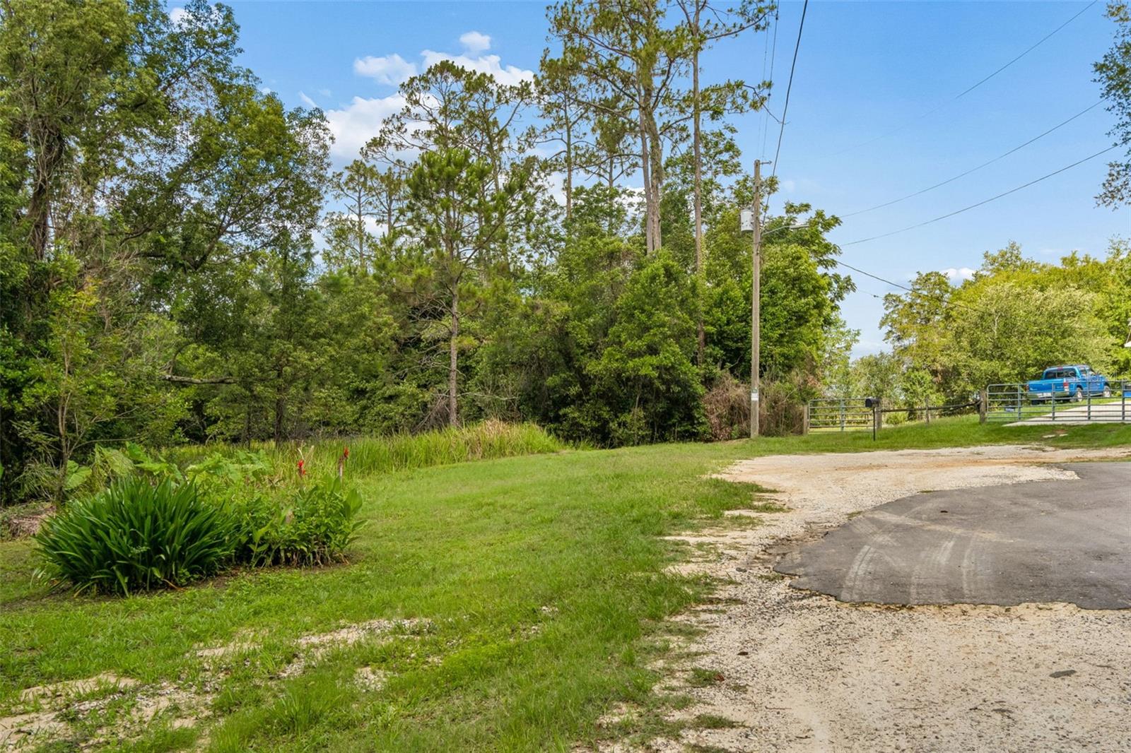 00 HAMRICH, DADE CITY, FL — photo 5
