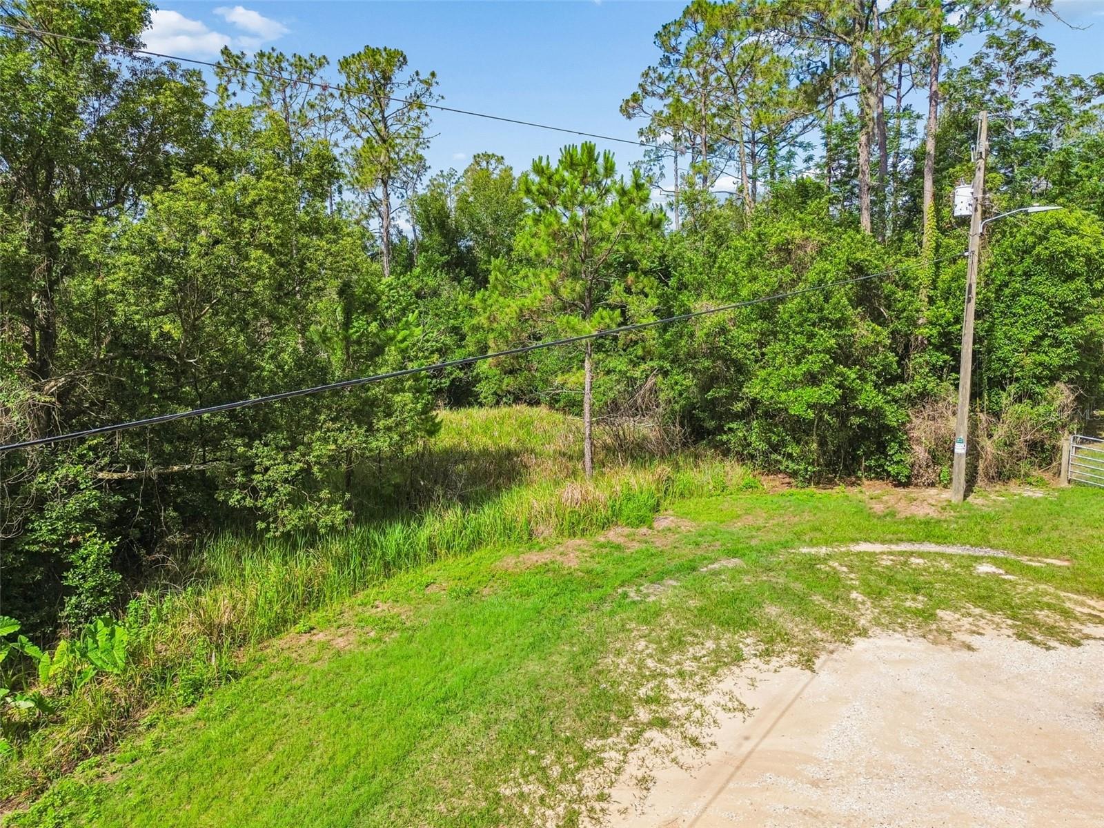 00 HAMRICH, DADE CITY, FL — photo 9