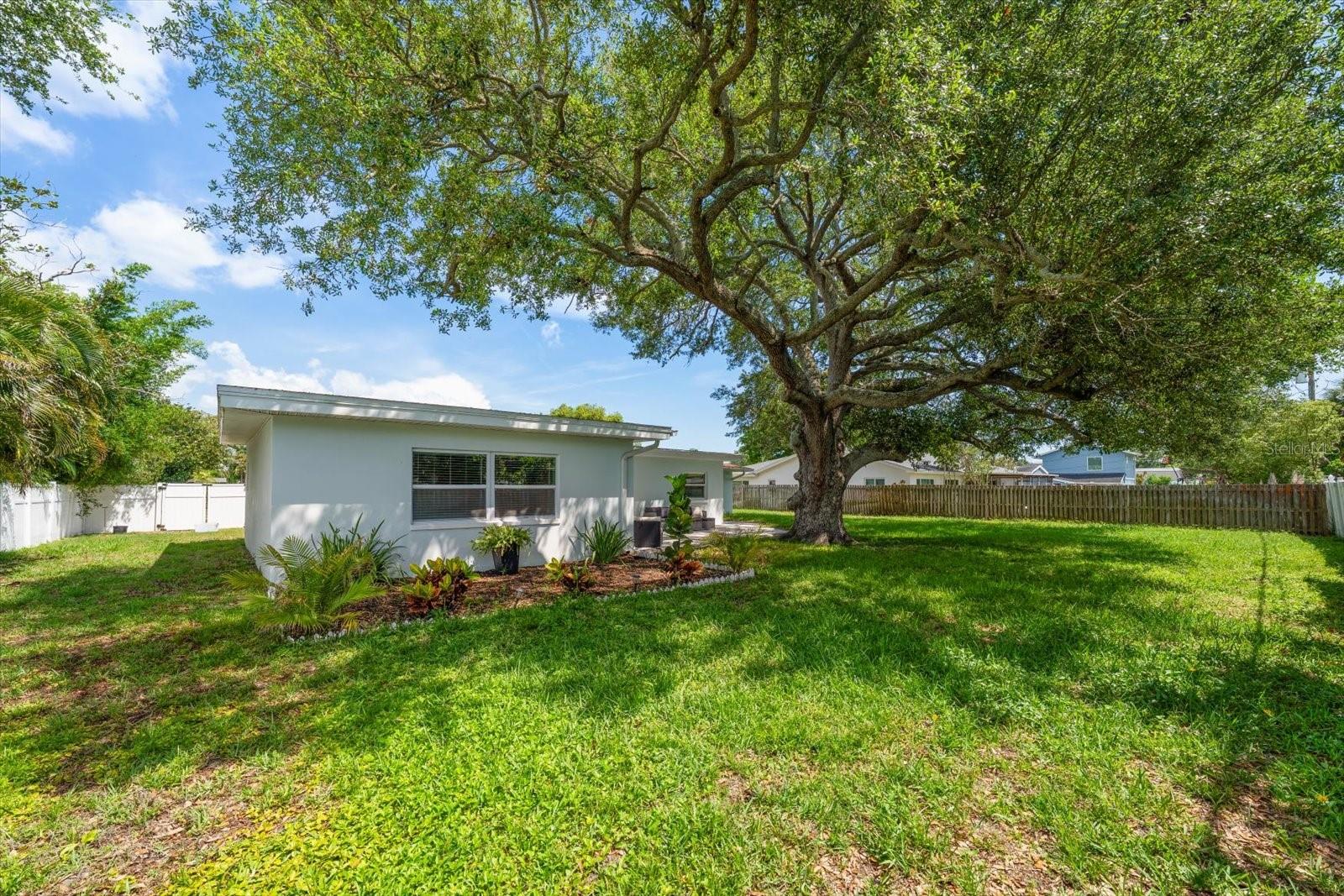 1736 GOLF VIEW DR, BELLEAIR, FL — photo 38