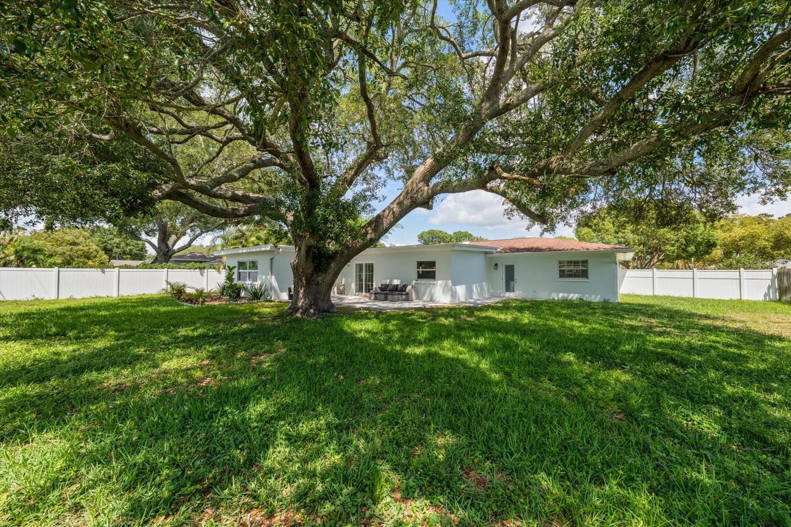 1736 GOLF VIEW DR, BELLEAIR, FL — photo 39