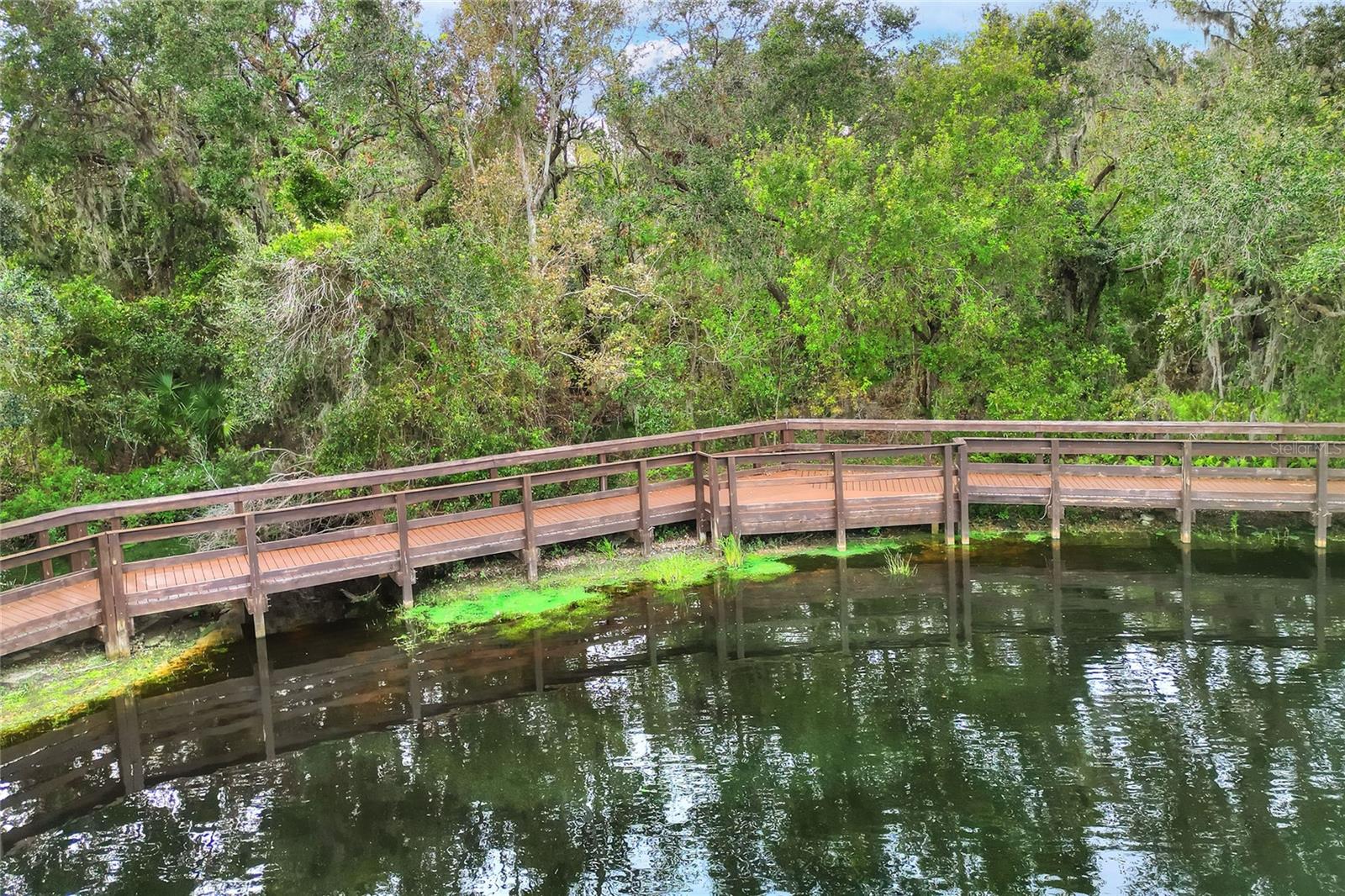 3933 SERENADE LN, LAKELAND, FL — photo 66