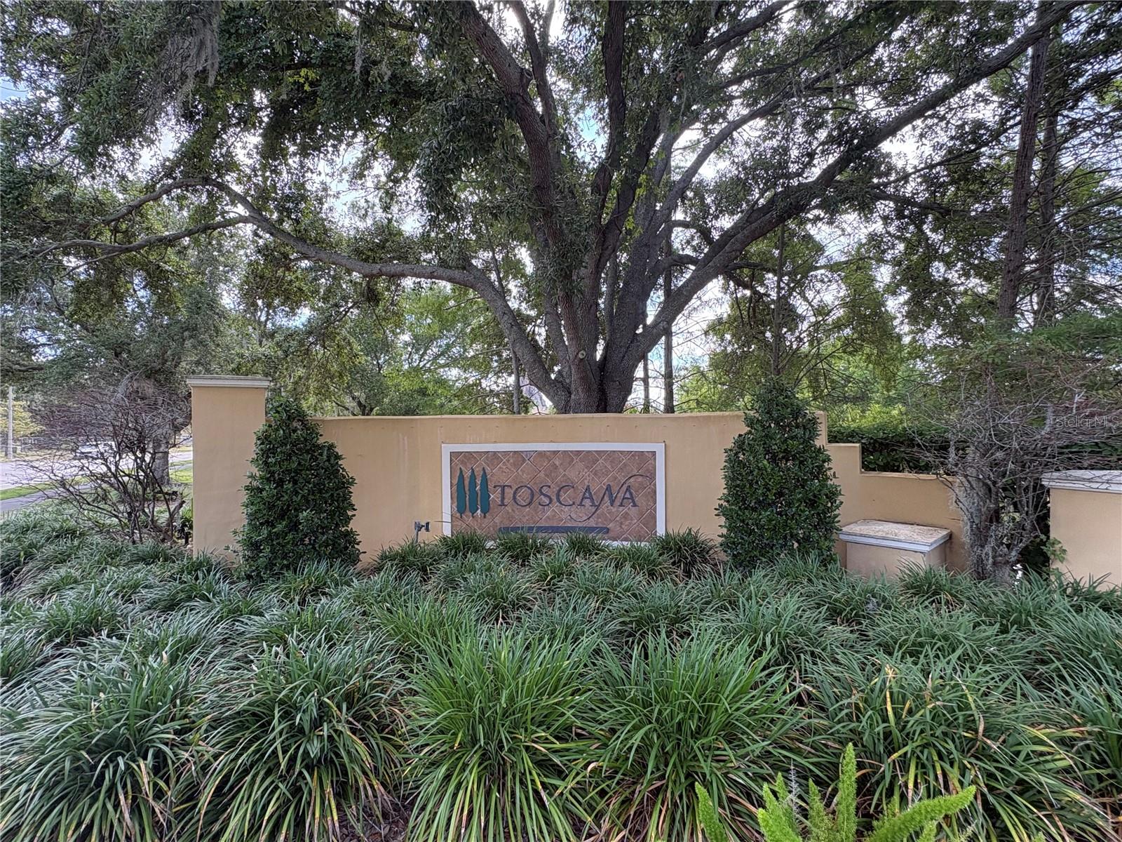 6931 LUCCA ST, ORLANDO, FL — photo 2