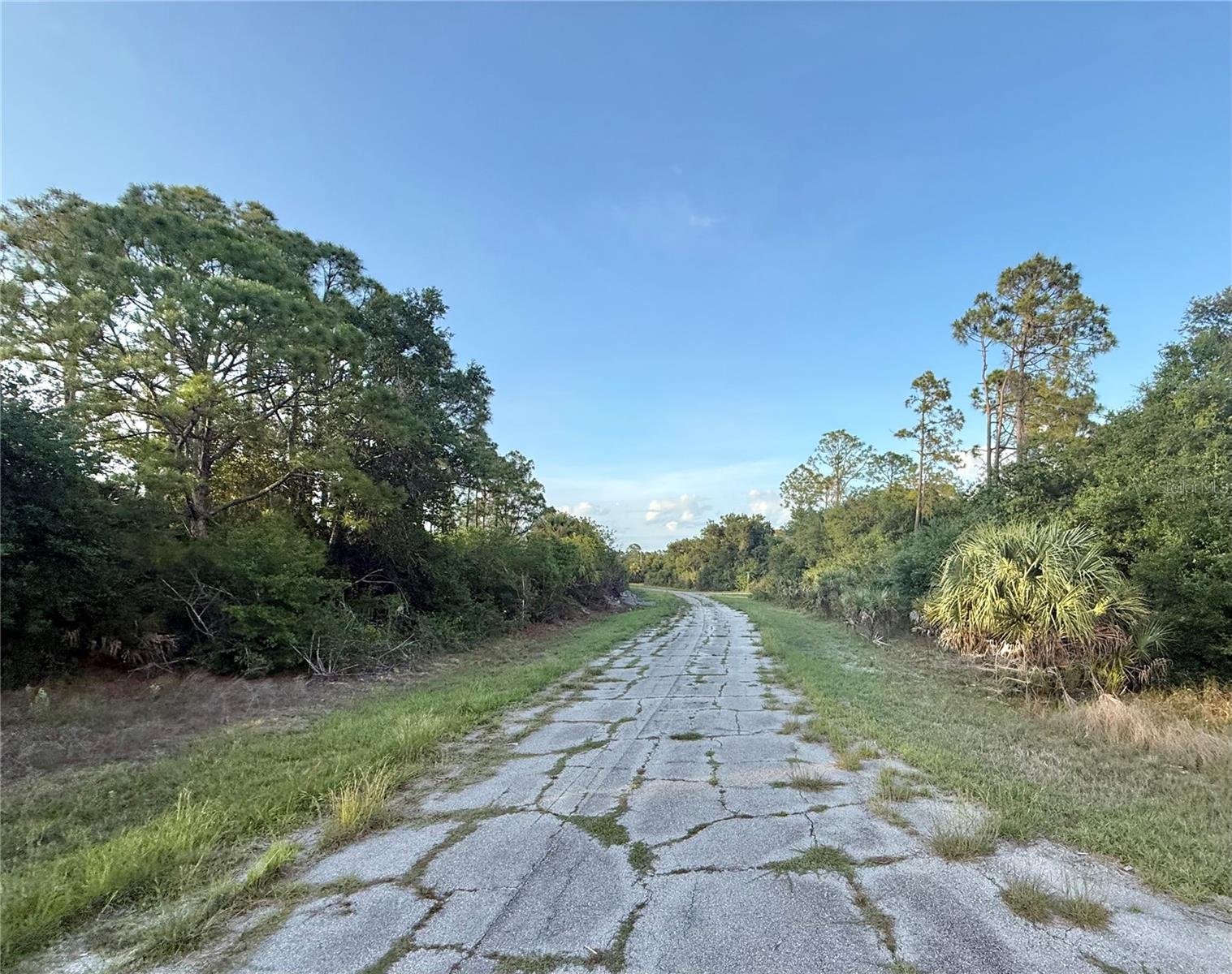 Lot 24 HINSHAW AVE, NORTH PORT, FL — photo 2