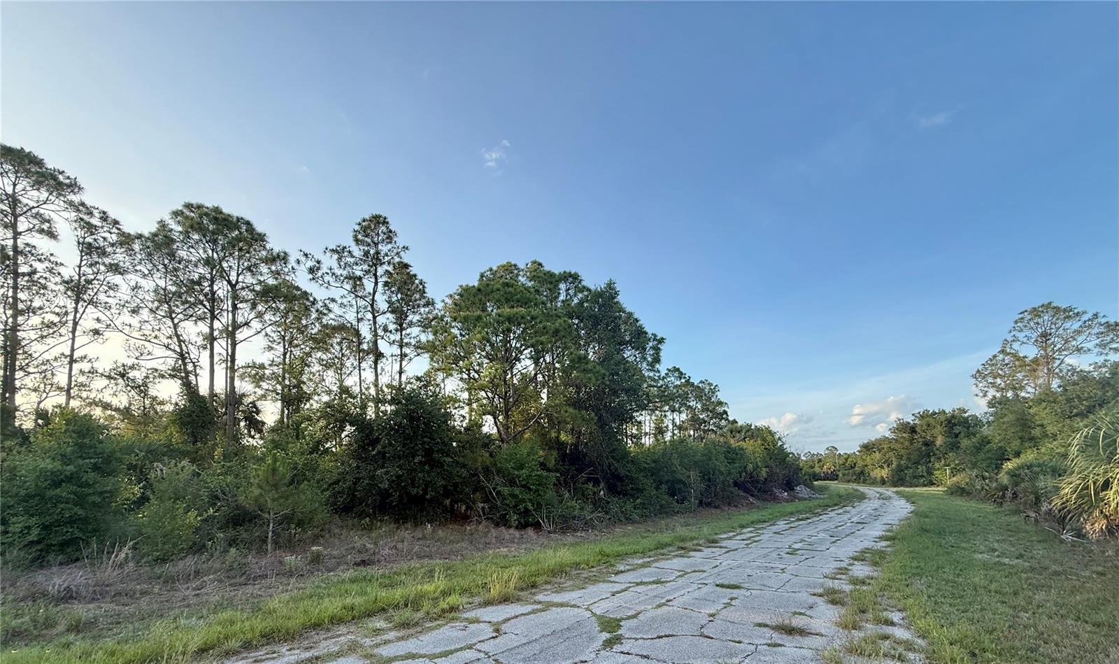 Lot 24 HINSHAW AVE, NORTH PORT, FL — photo 3