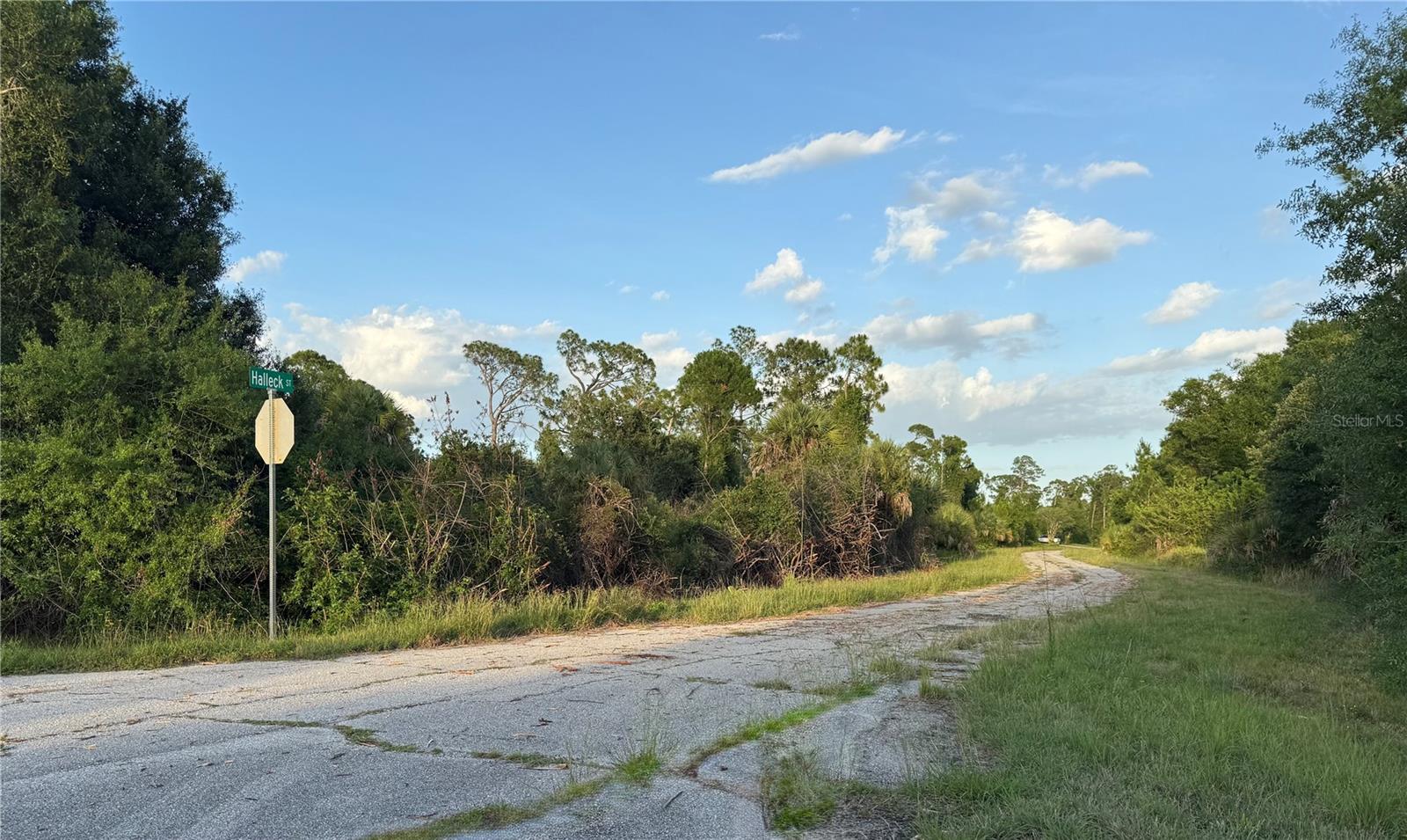Lot 24 HINSHAW AVE, NORTH PORT, FL — photo 5