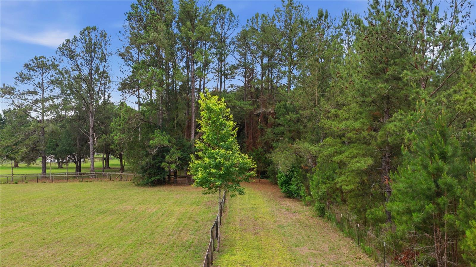 12165 W HIGHWAY 326, OCALA, FL — photo 17