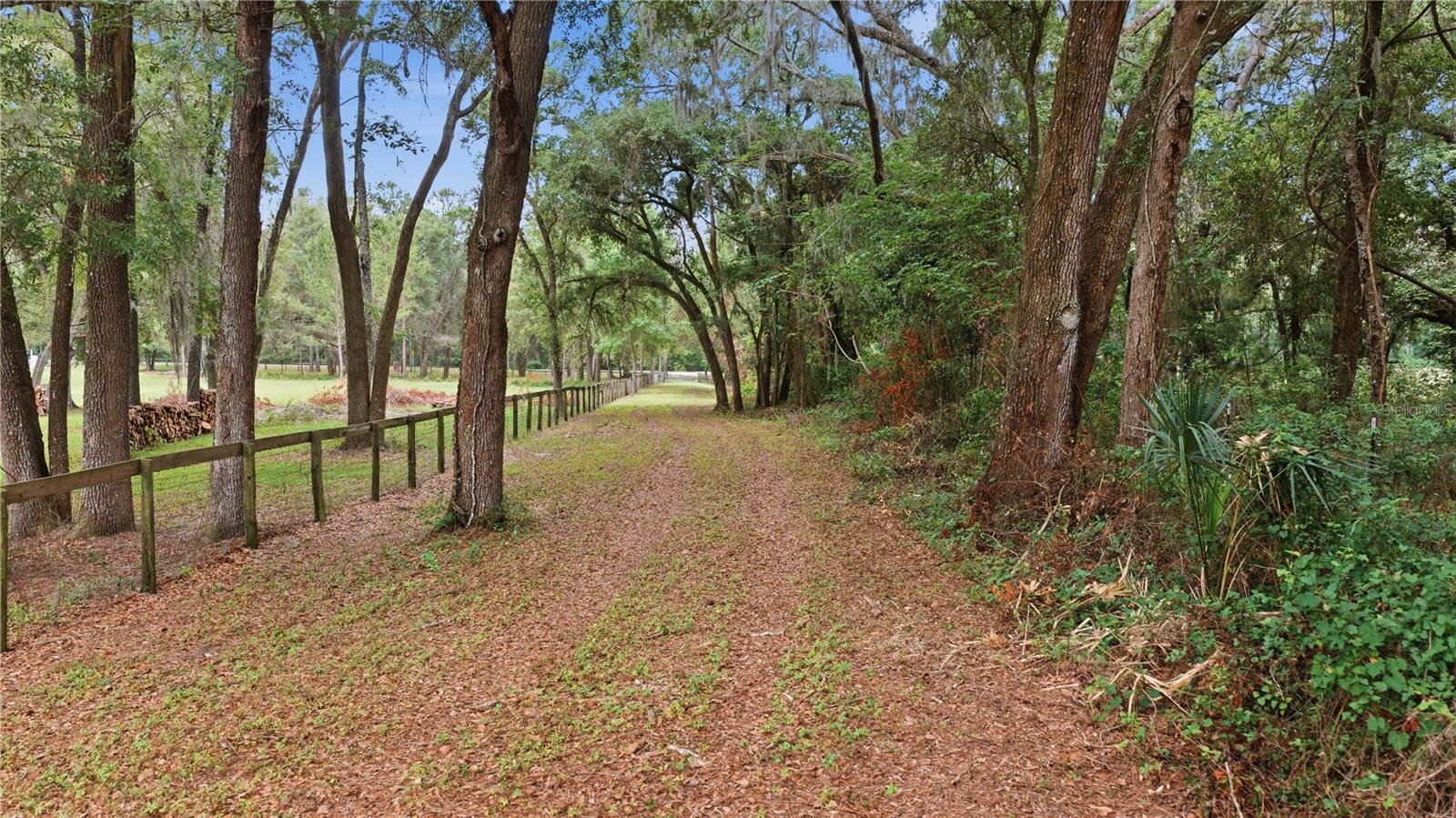 12165 W HIGHWAY 326, OCALA, FL — photo 22
