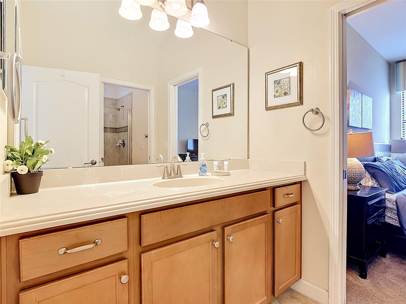 1442 MOON VALLEY DR, DAVENPORT, FL — photo 29