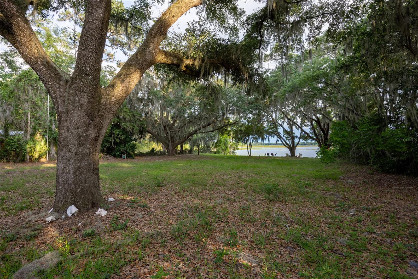 1847 STATE ROAD 20, HAWTHORNE, FL — photo 36