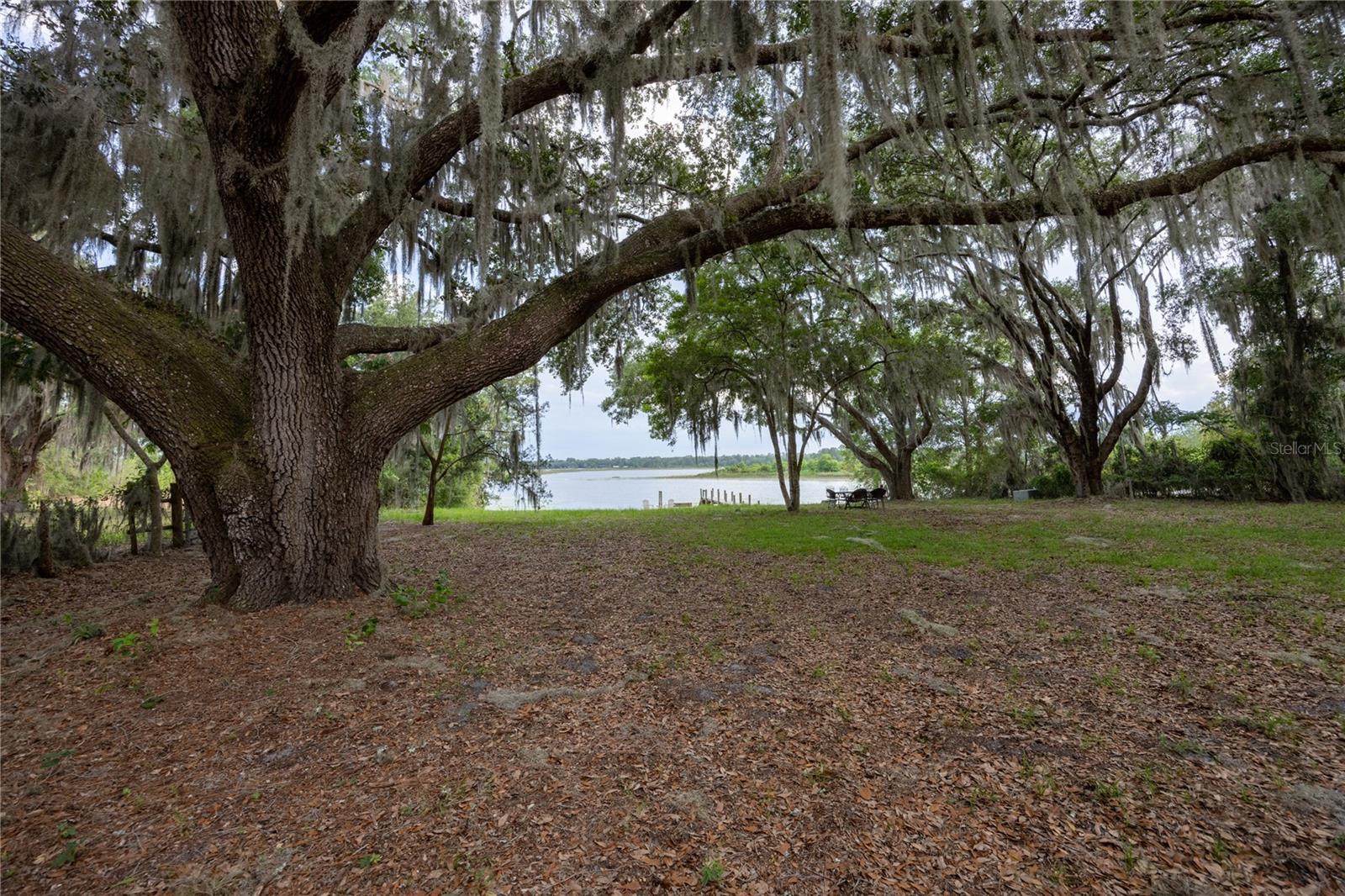 1847 STATE ROAD 20, HAWTHORNE, FL — photo 37