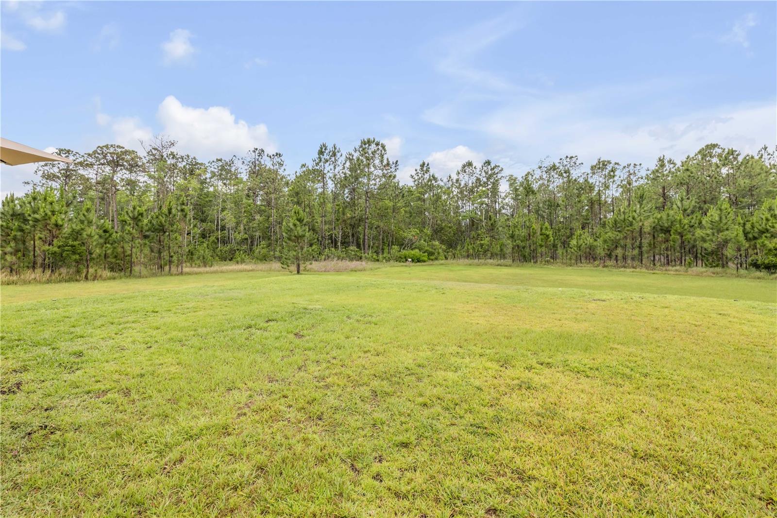 1105 PACIFIC DUNES CT, DAYTONA BEACH, FL — photo 31