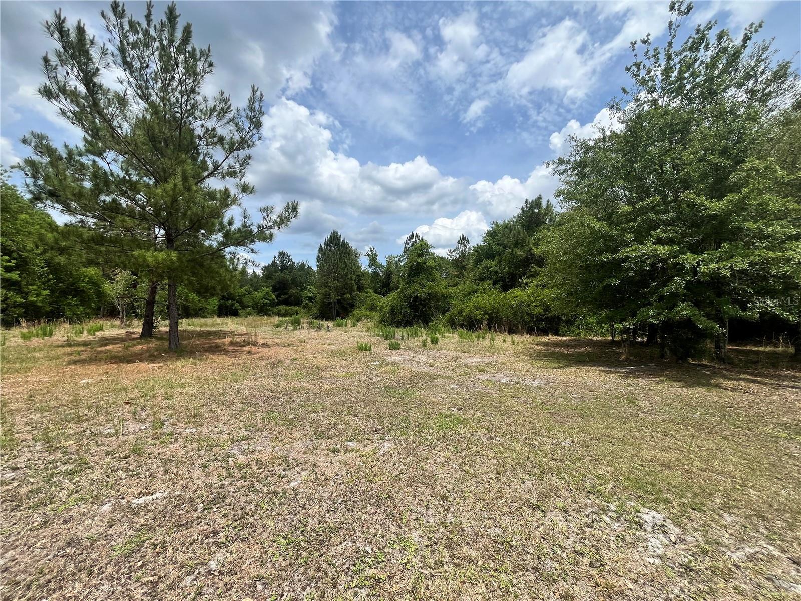 0 NW COUNTY ROAD 229, STARKE, FL