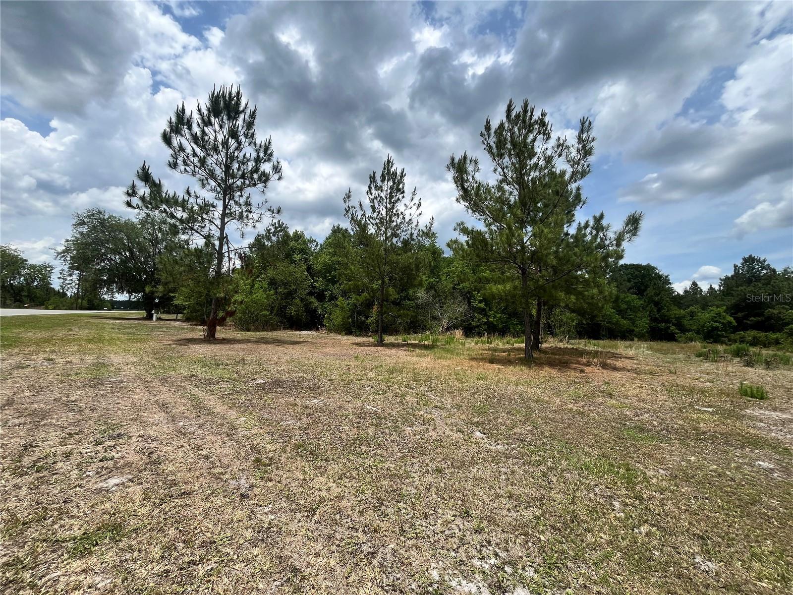 0 NW COUNTY ROAD 229, STARKE, FL — photo 2