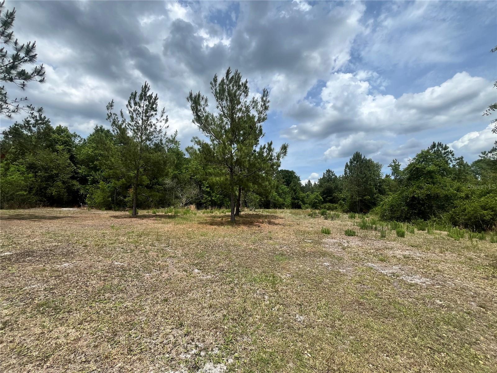 0 NW COUNTY ROAD 229, STARKE, FL — photo 3
