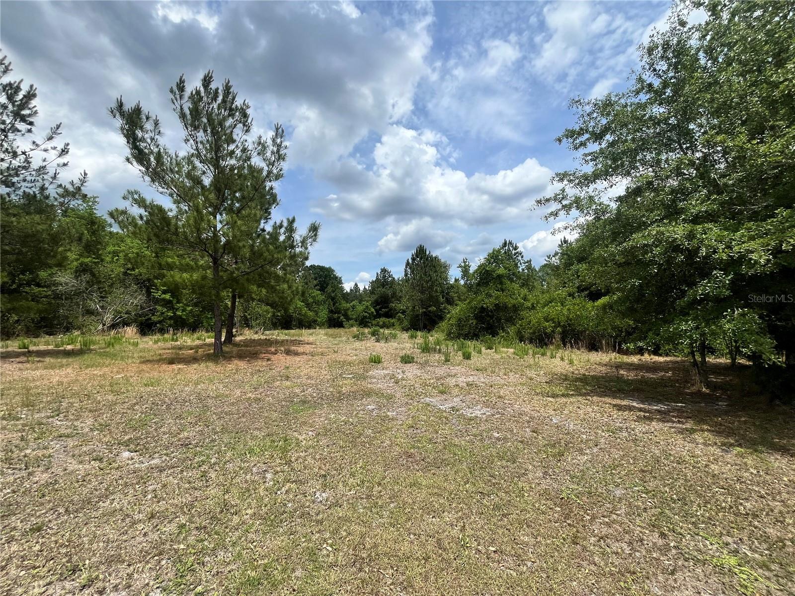 0 NW COUNTY ROAD 229, STARKE, FL — photo 4
