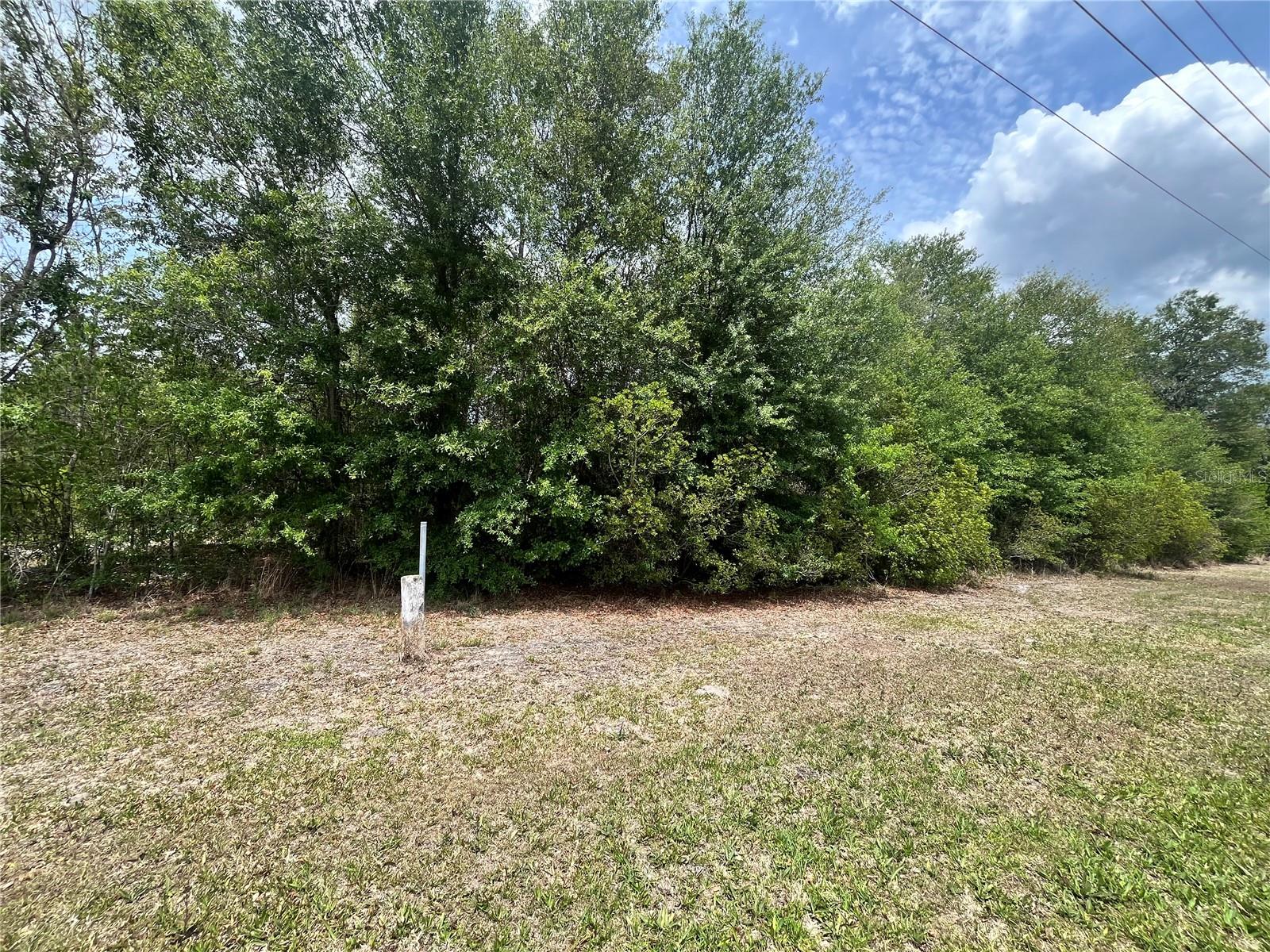 0 NW COUNTY ROAD 229, STARKE, FL — photo 9