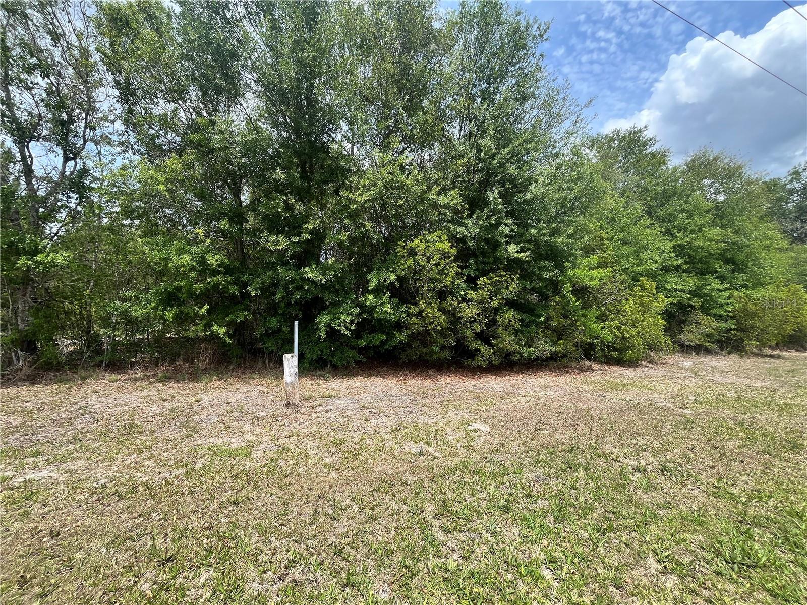 0 NW COUNTY ROAD 229, STARKE, FL — photo 10