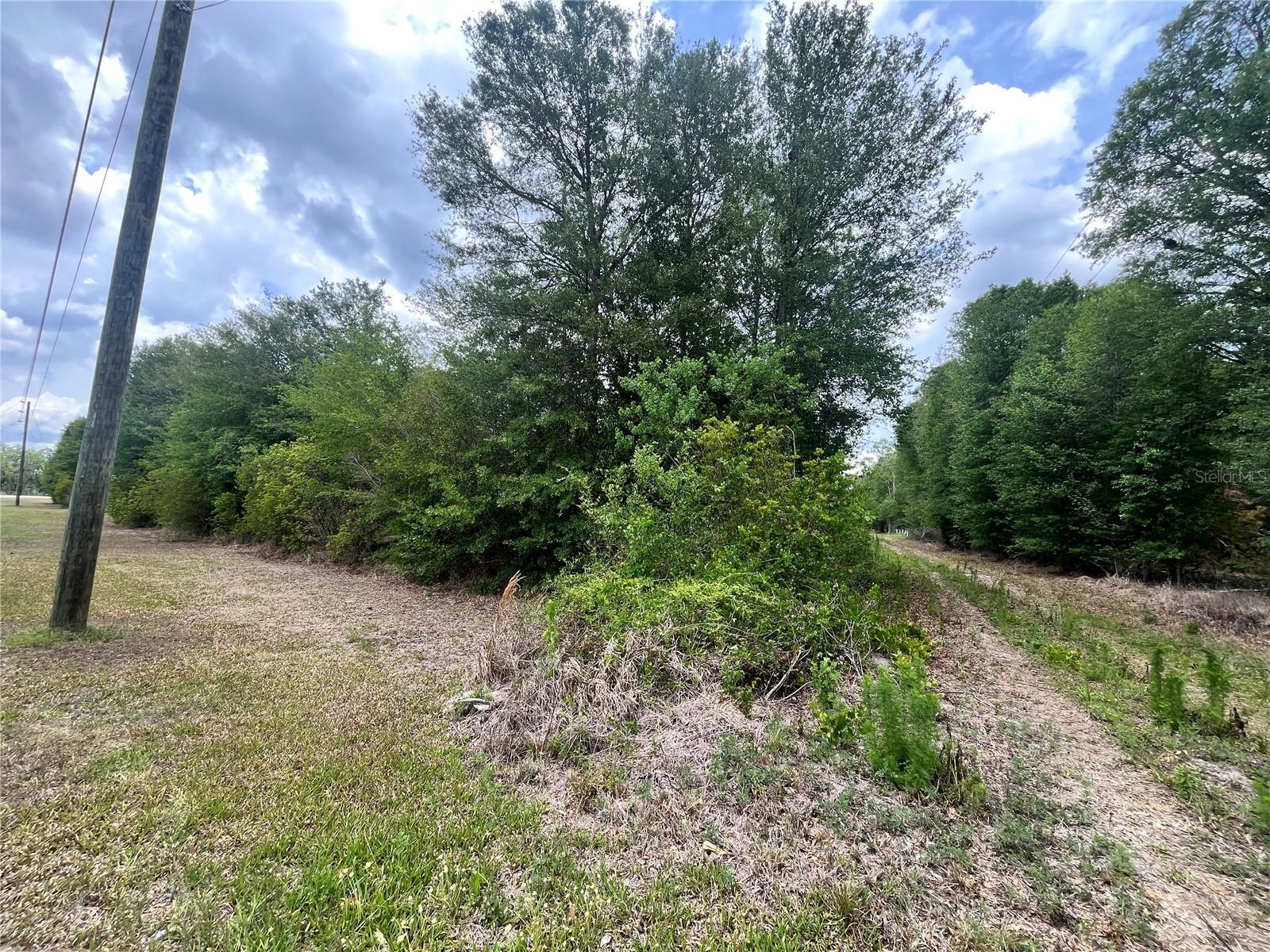 0 NW COUNTY ROAD 229, STARKE, FL — photo 11