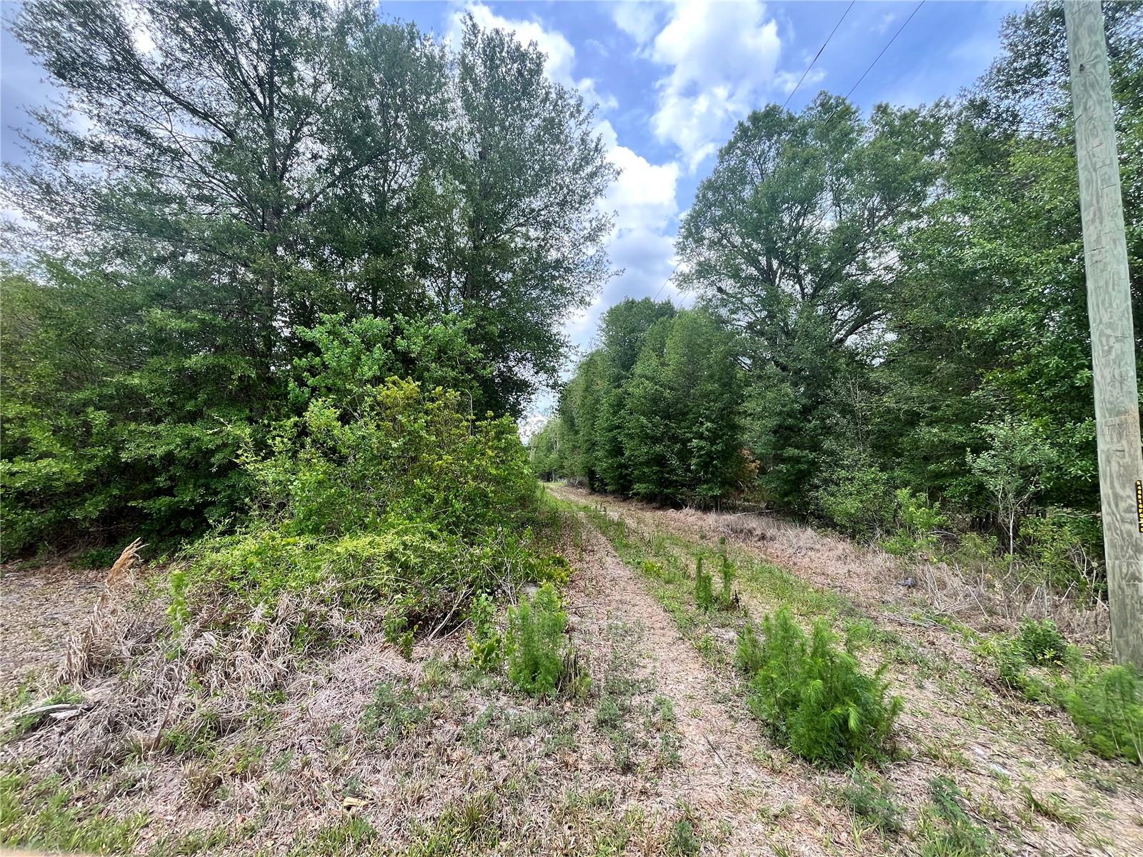 0 NW COUNTY ROAD 229, STARKE, FL — photo 12