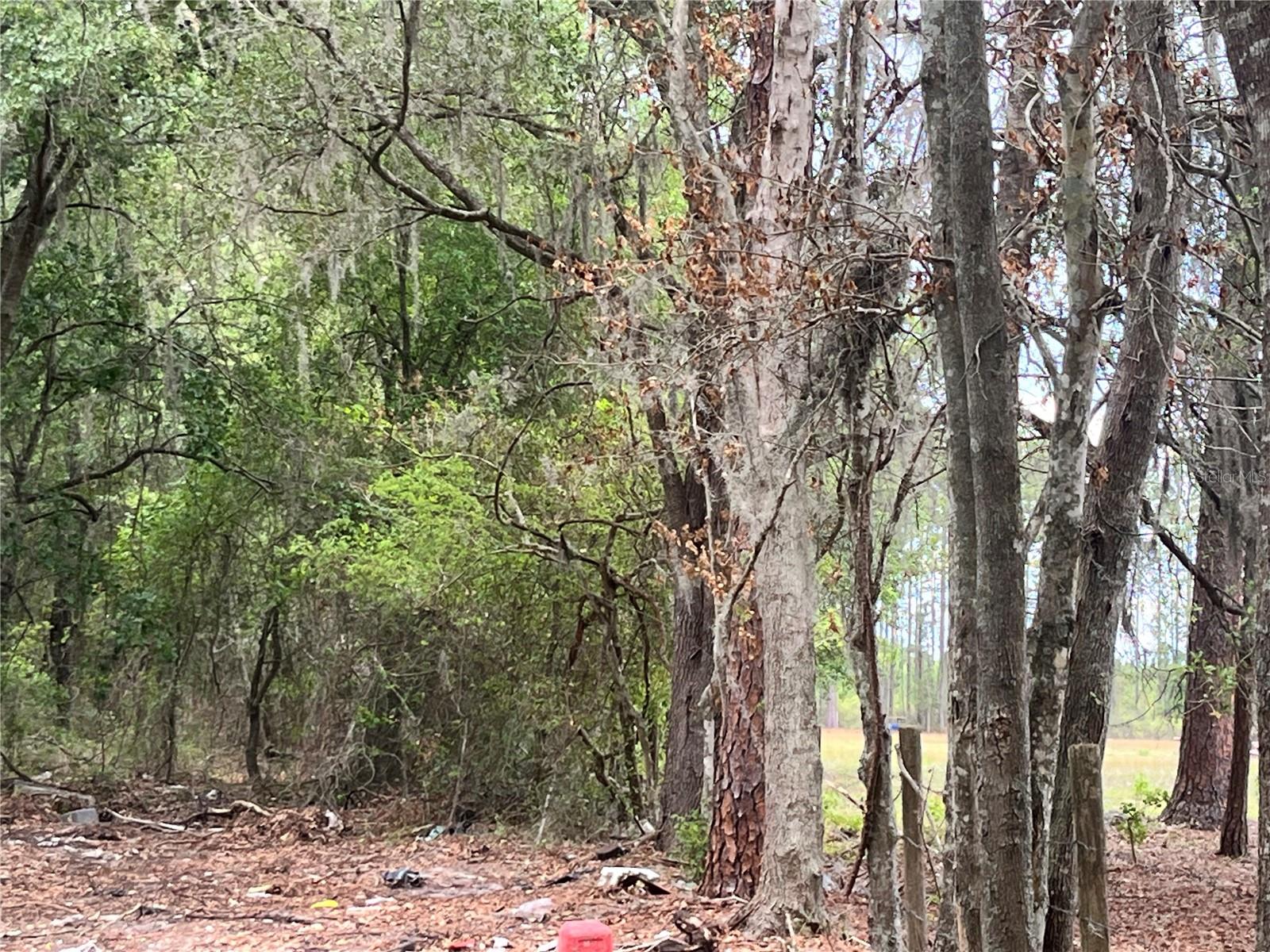 0 NW COUNTY ROAD 229, STARKE, FL — photo 15