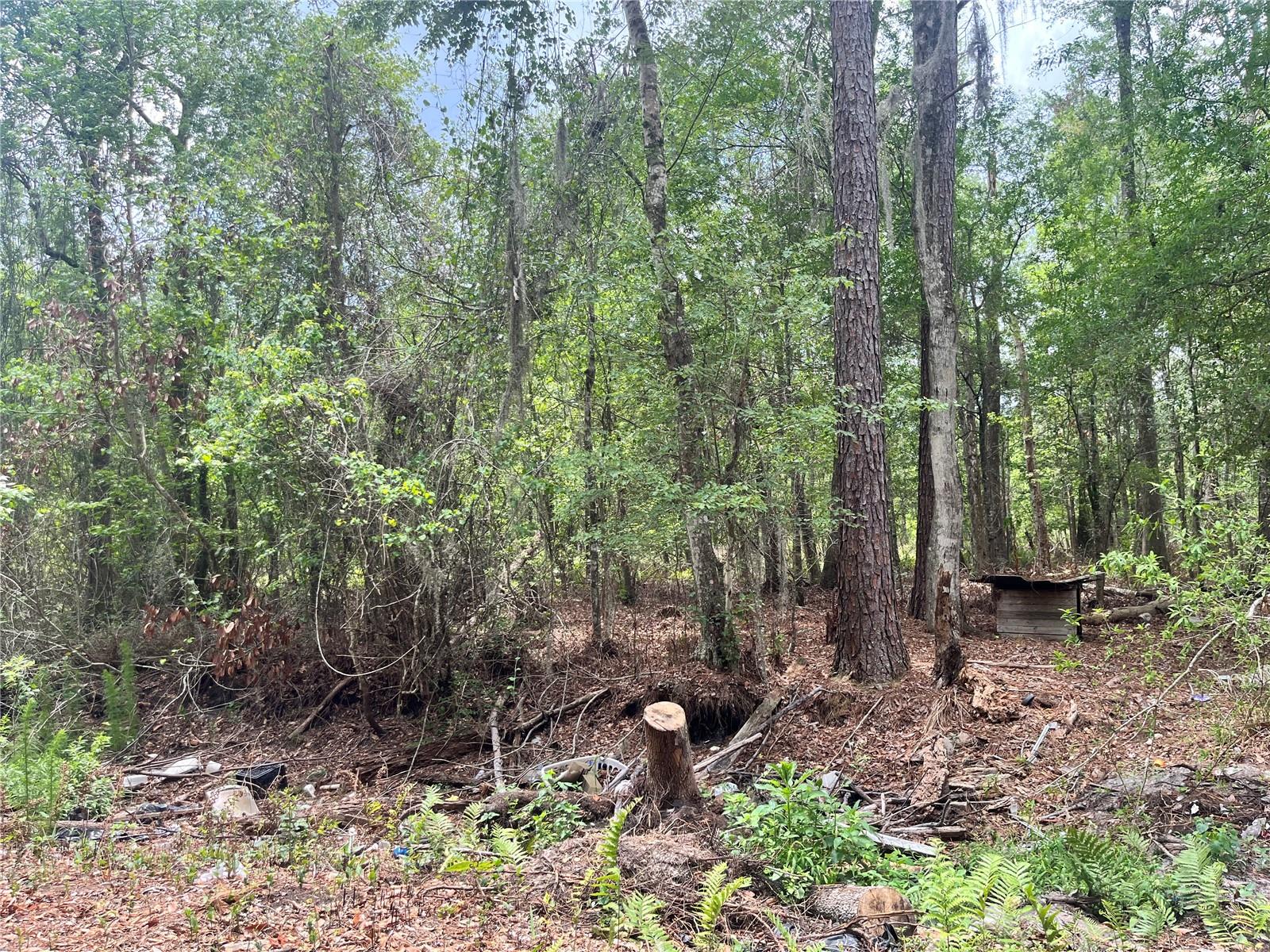0 NW COUNTY ROAD 229, STARKE, FL — photo 16