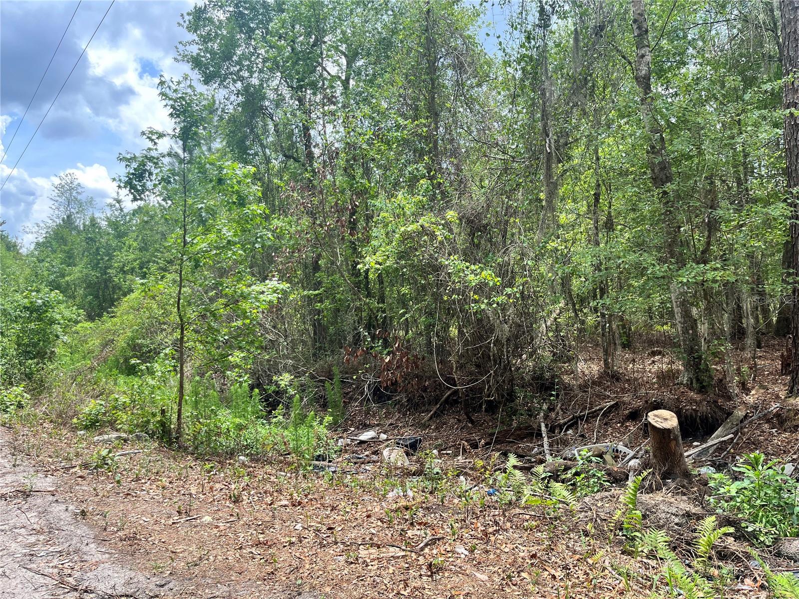 0 NW COUNTY ROAD 229, STARKE, FL — photo 17