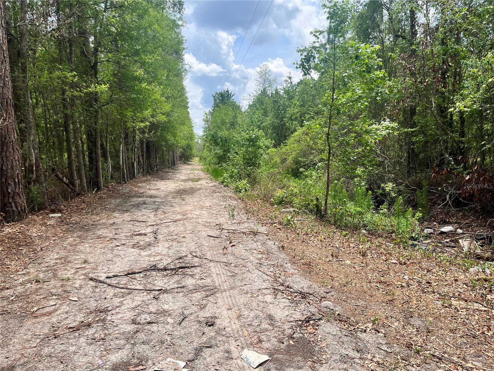 0 NW COUNTY ROAD 229, STARKE, FL — photo 18