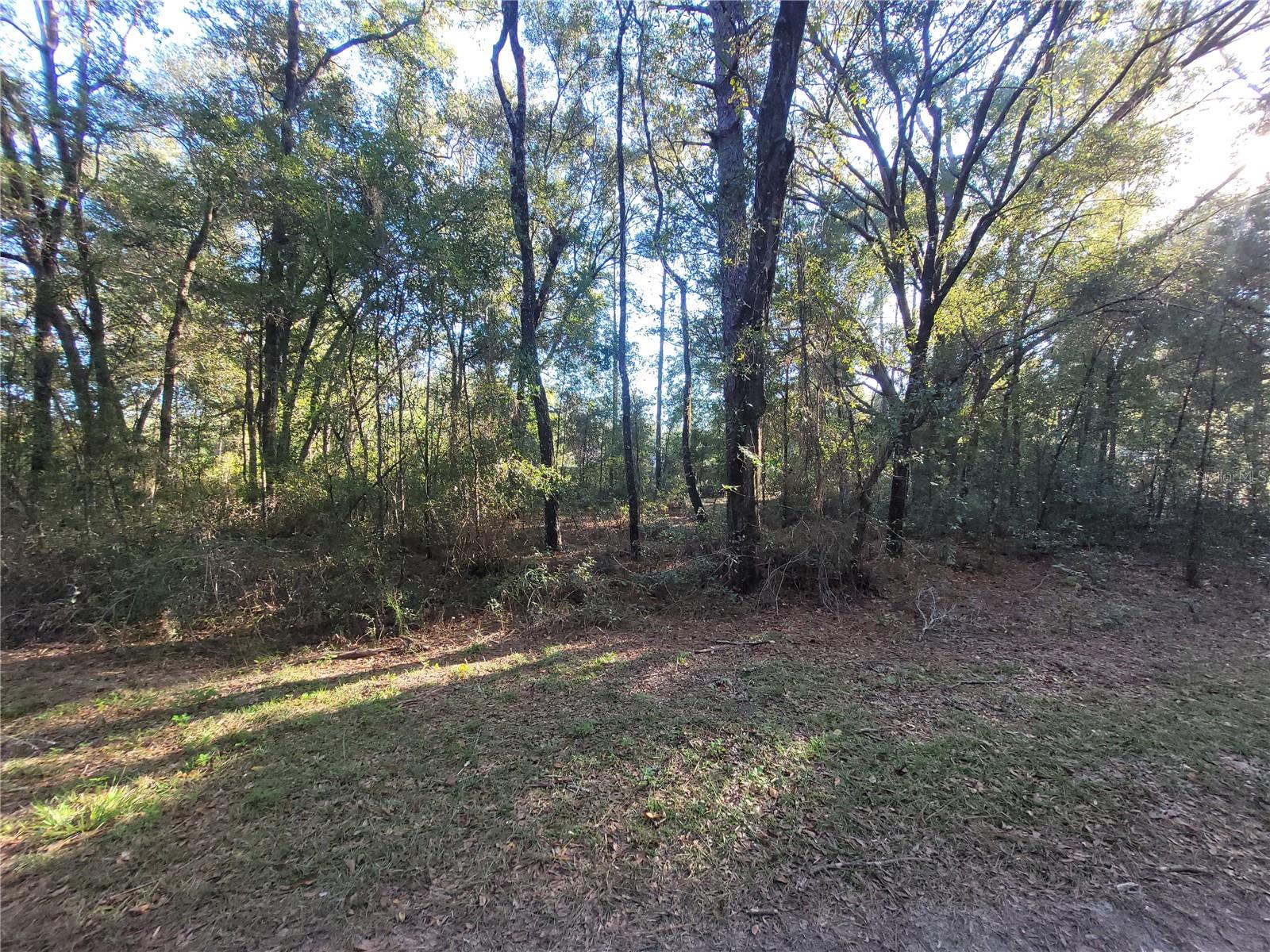 0 SW 22ND PL, OCALA, FL