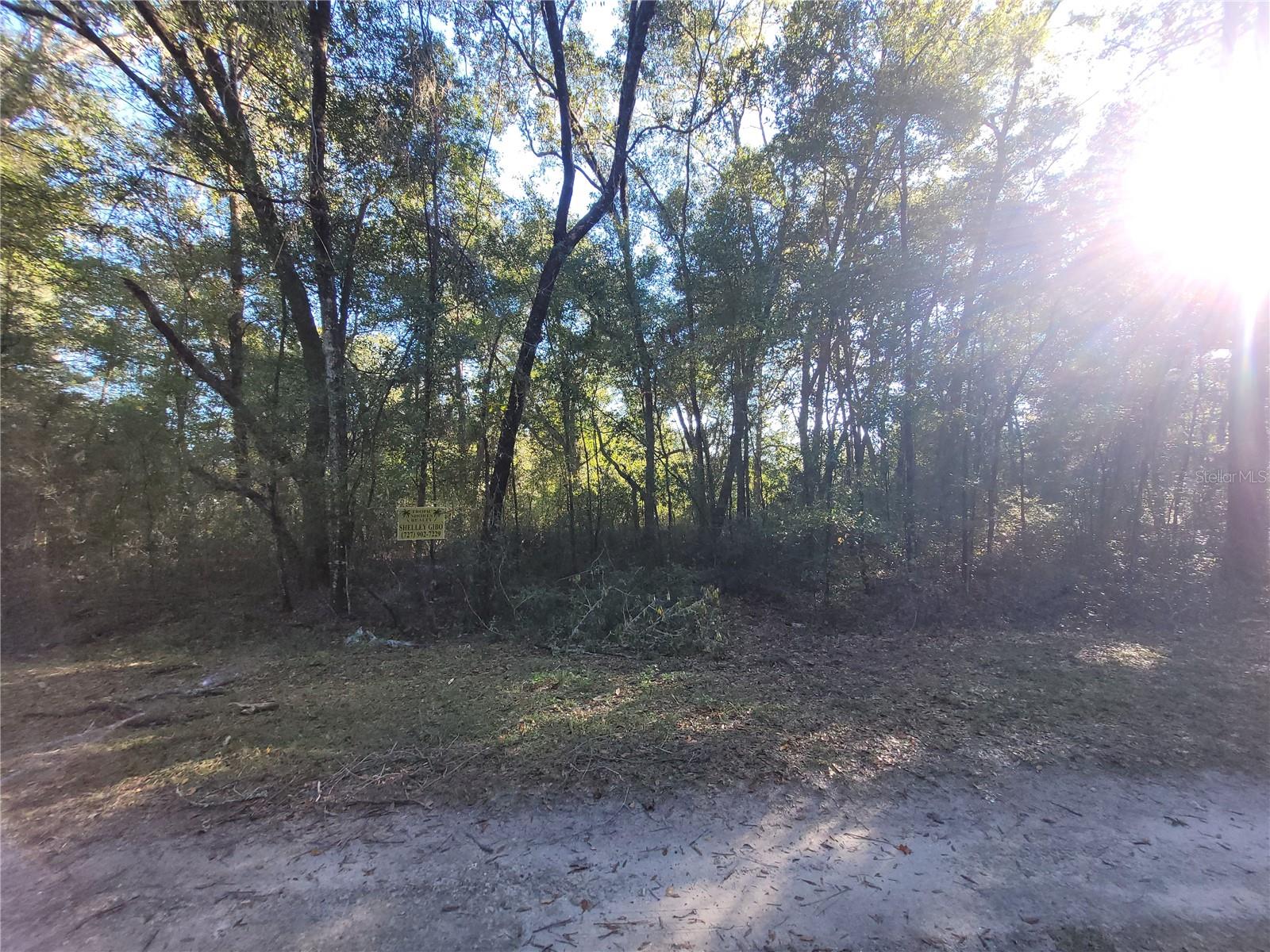 0 SW 22ND PL, OCALA, FL — photo 2