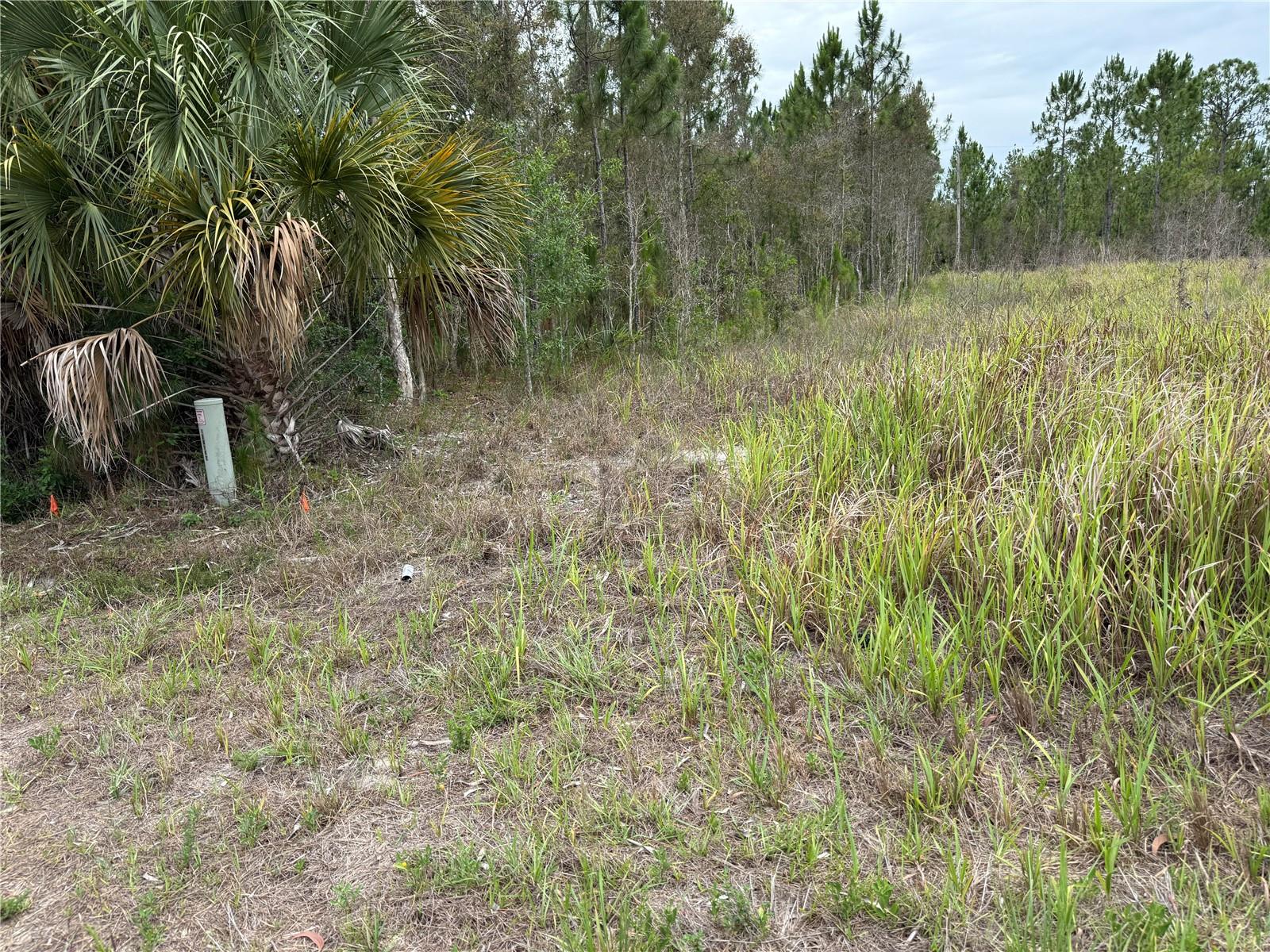 1009 JACKSON AVE, LEHIGH ACRES, FL — photo 2