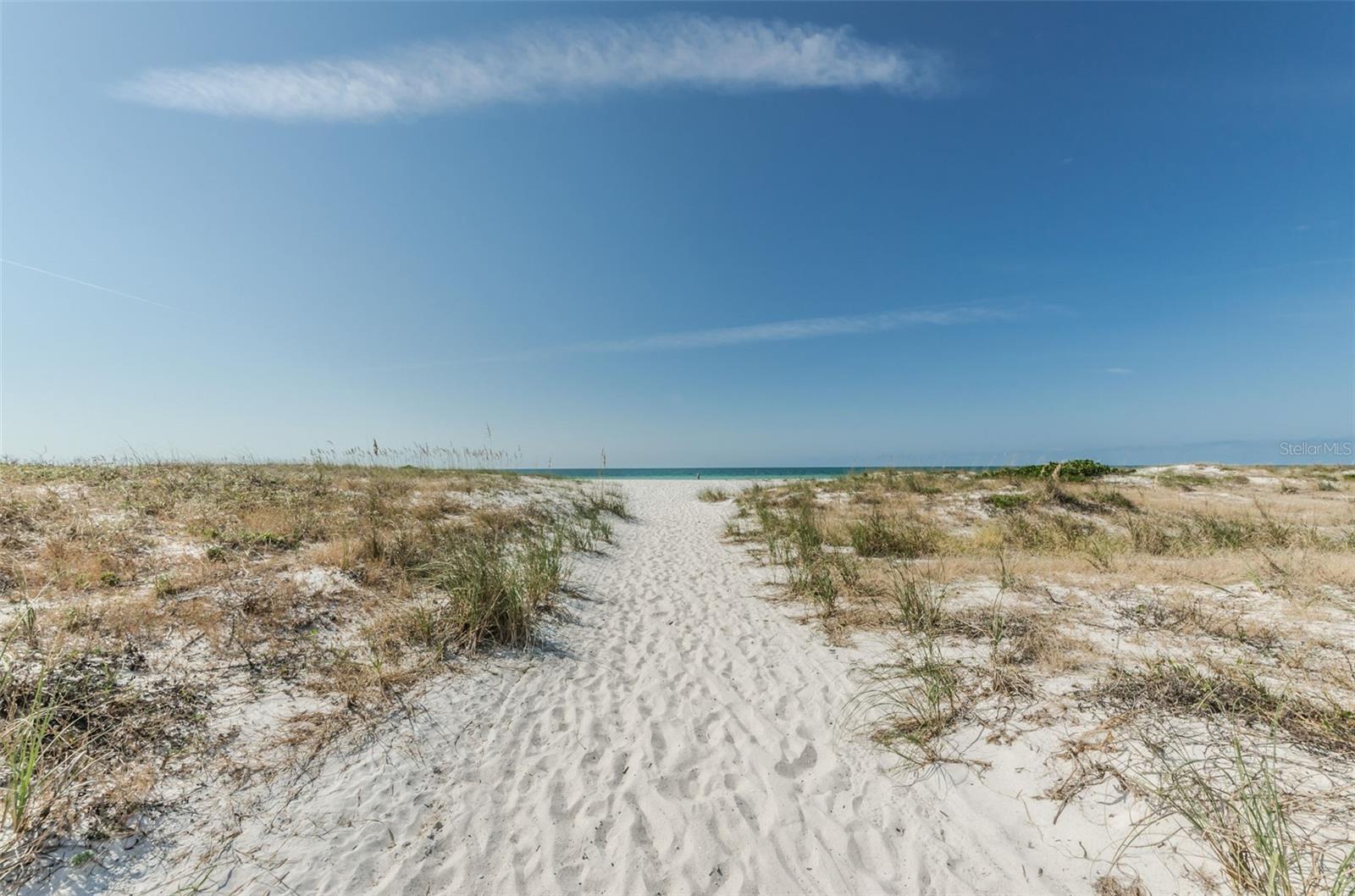 720 BRUCE AVE, CLEARWATER BEACH, FL — photo 85