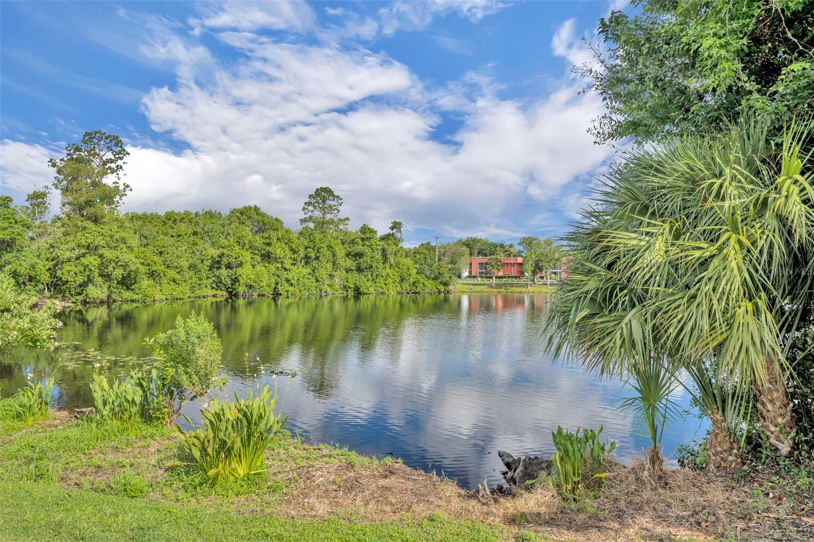 986 GRAND WILDMERE CV, LONGWOOD, FL — photo 38