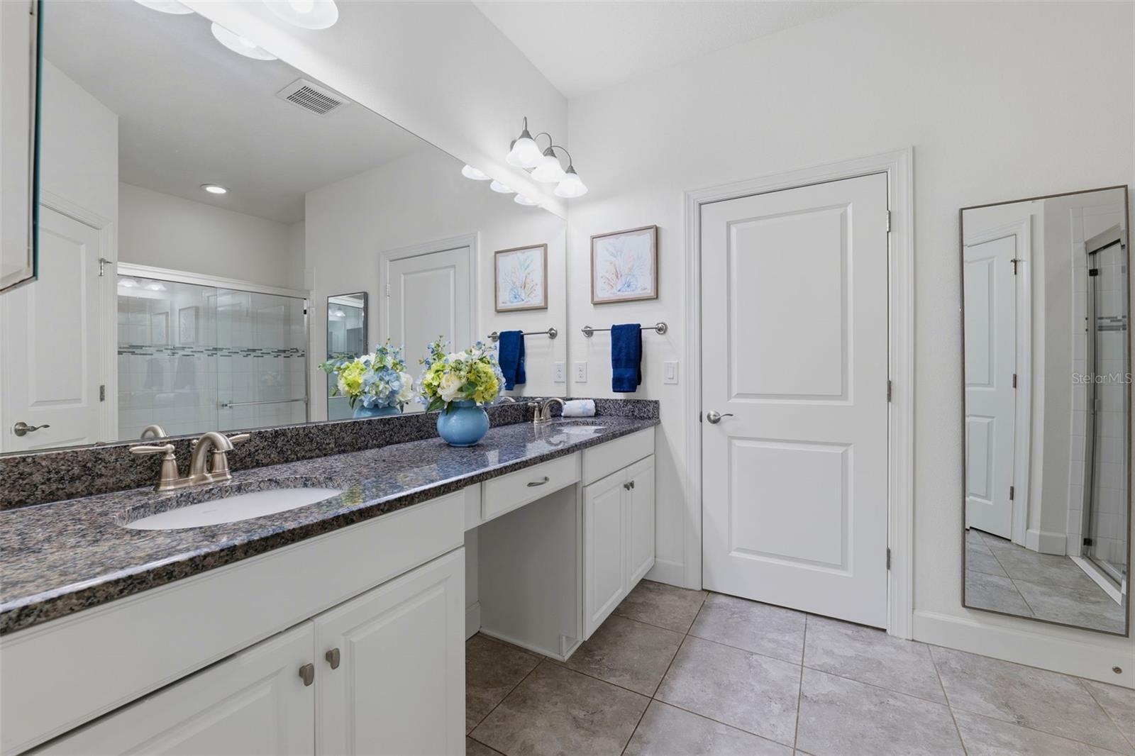8412 ALBERATA VISTA DR, TAMPA, FL — photo 8