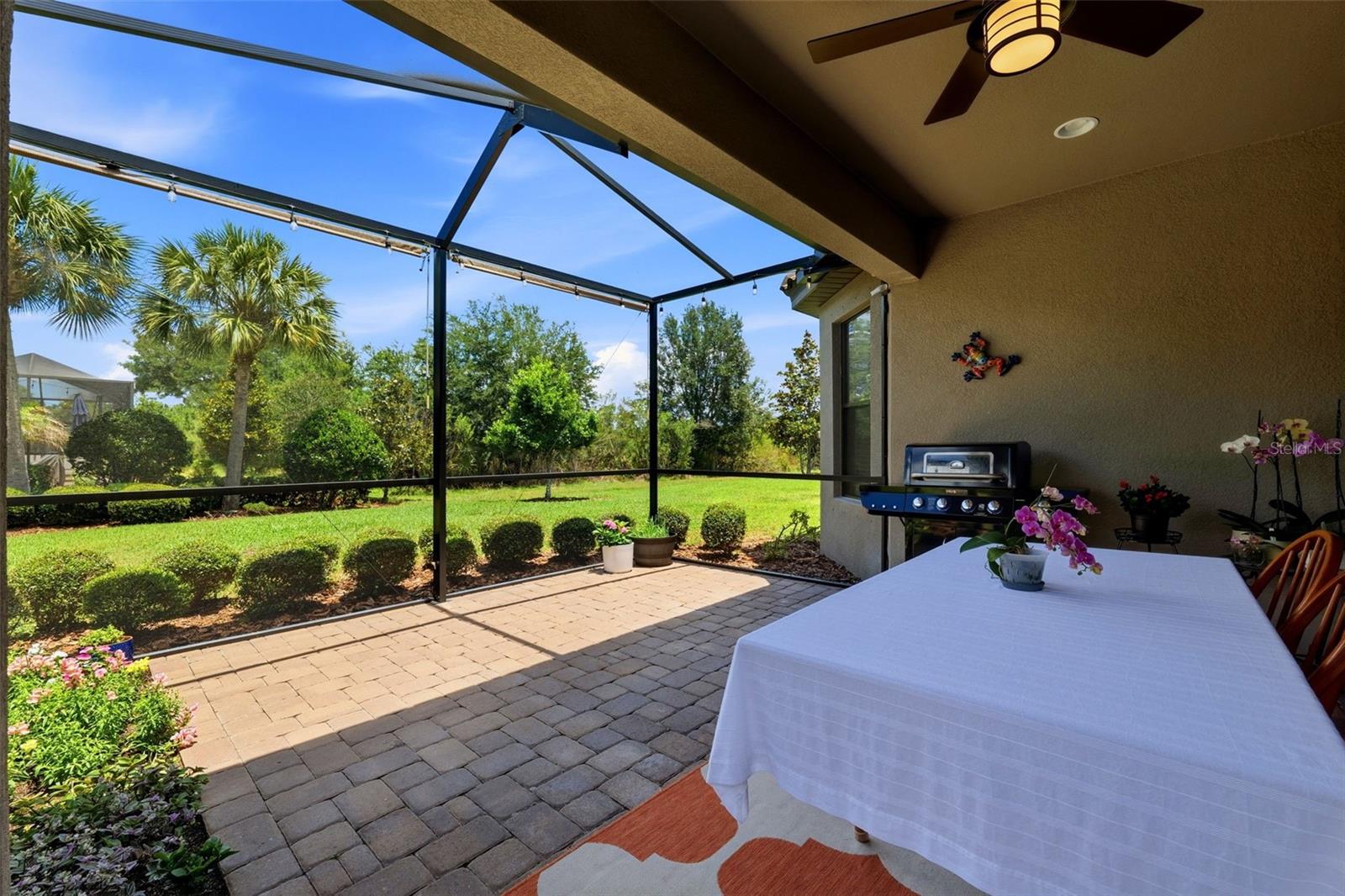 8412 ALBERATA VISTA DR, TAMPA, FL — photo 3