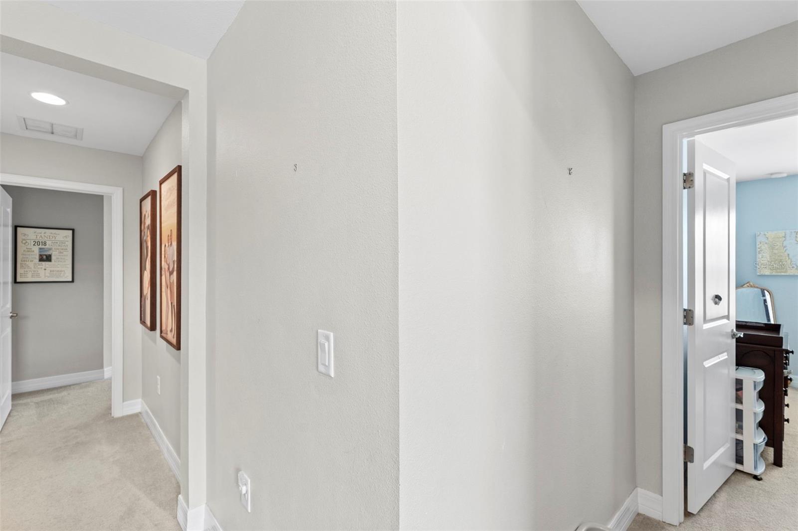 4545 SCARLET LOOP, WESLEY CHAPEL, FL — photo 31