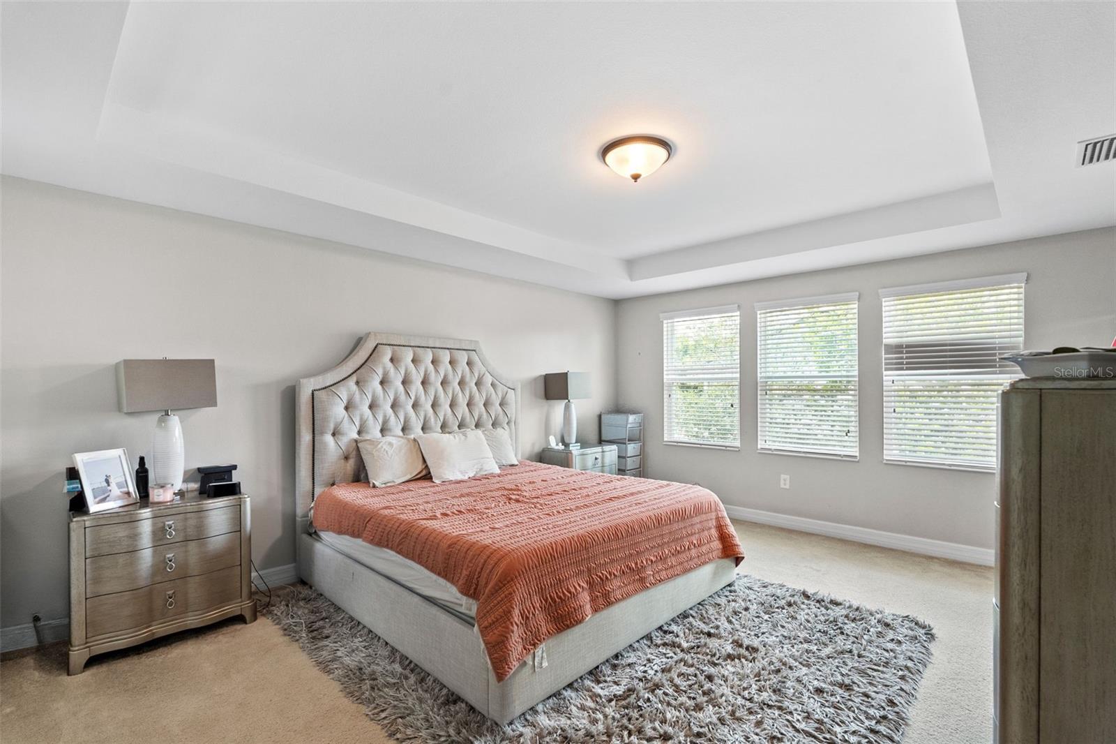 4545 SCARLET LOOP, WESLEY CHAPEL, FL — photo 34