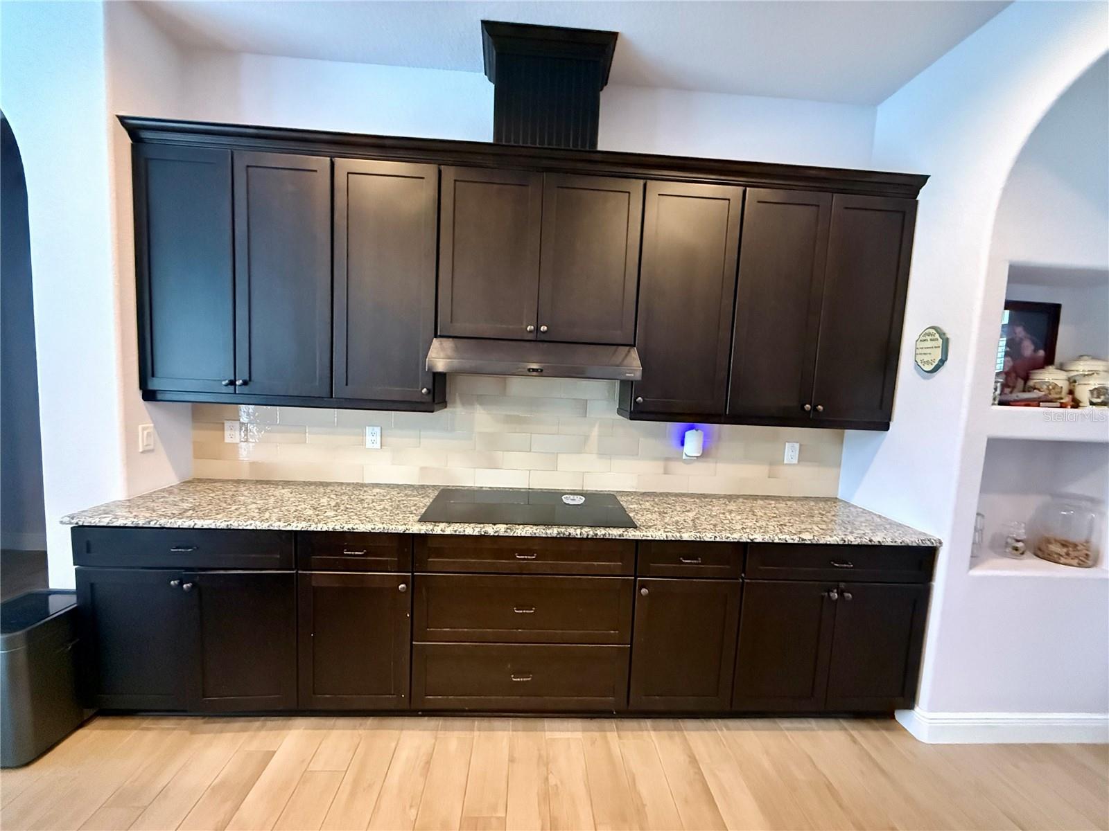 13110 BAMBOO ST, SPRING HILL, FL — photo 9
