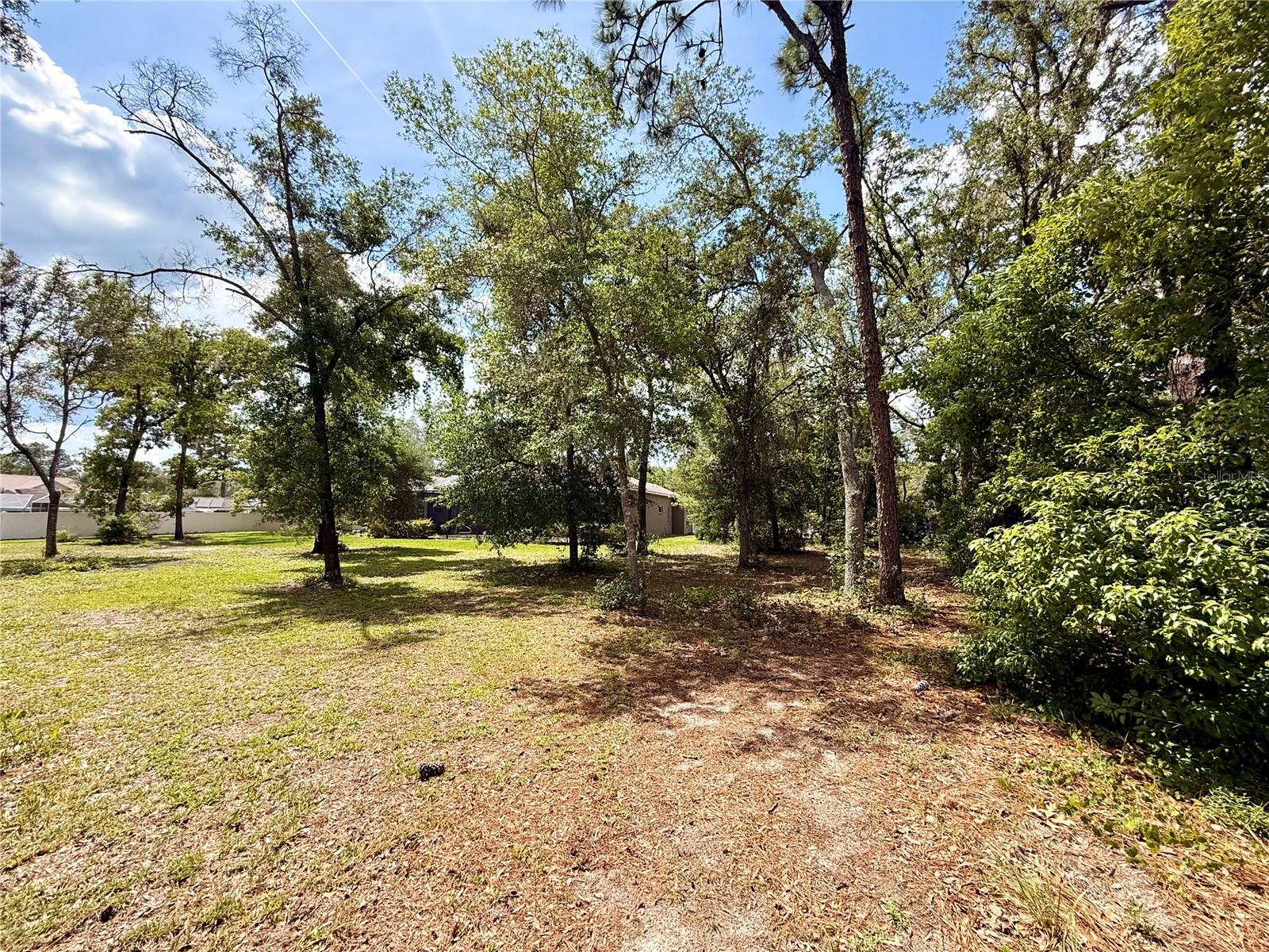 13110 BAMBOO ST, SPRING HILL, FL — photo 48