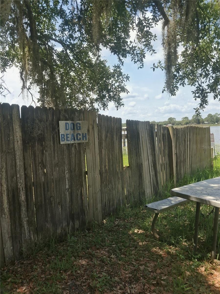 25225 141ST LN NE, FORT MC COY, FL — photo 14